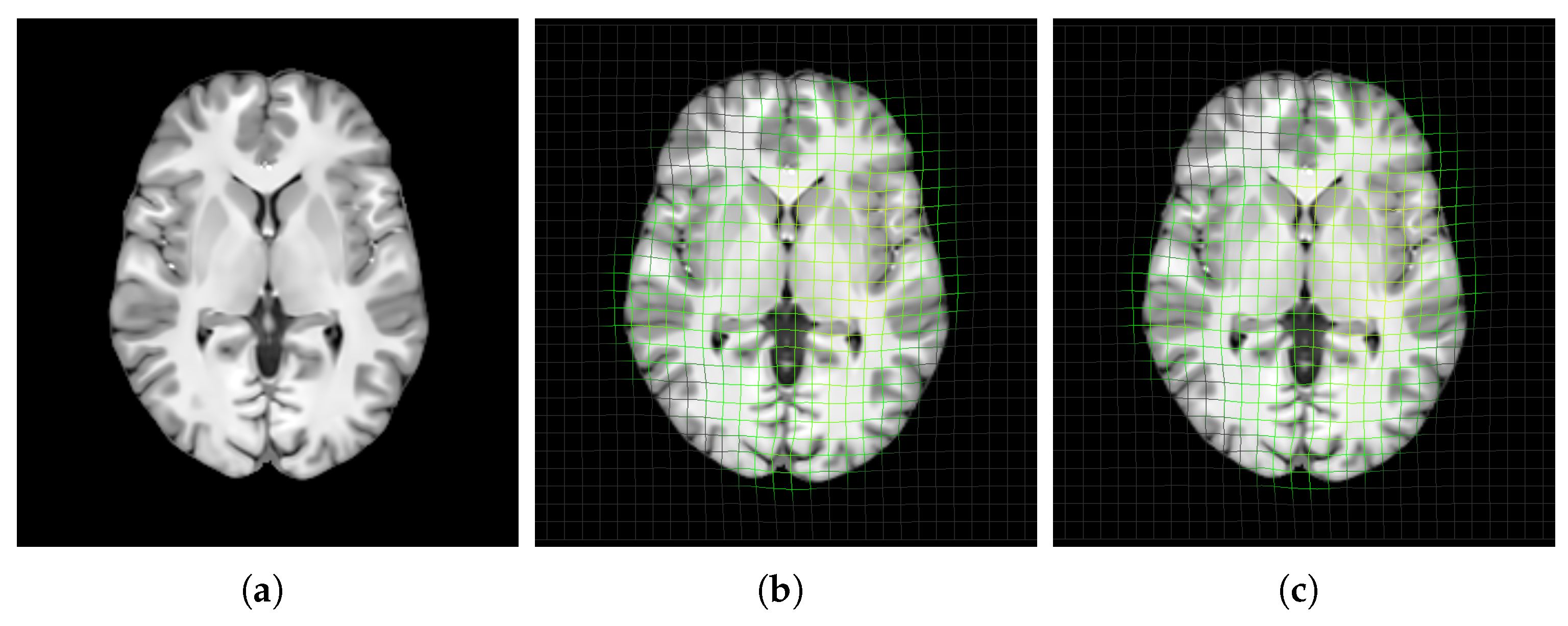 Bioengineering 12 00722 g010 Bioengineering 12 00722 g010