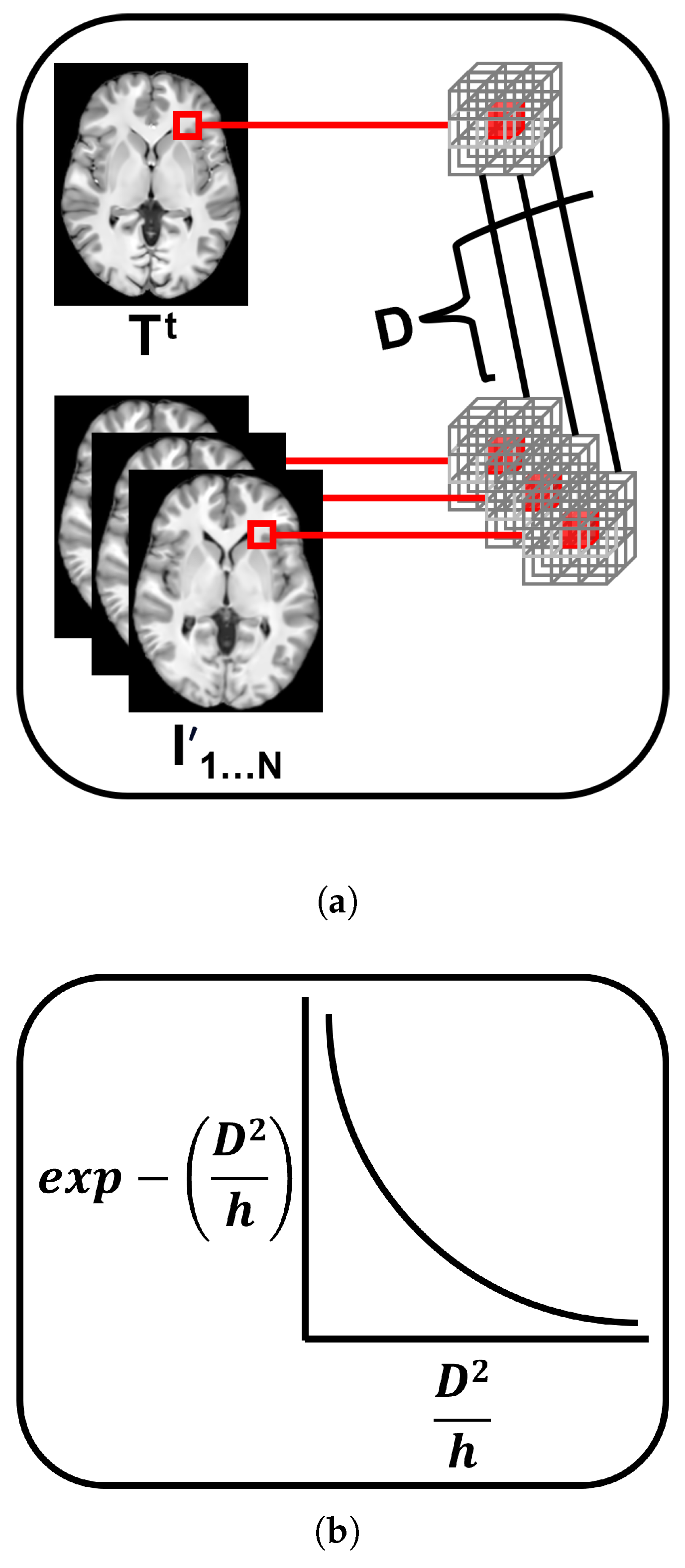 Bioengineering 12 00722 g012 Bioengineering 12 00722 g012
