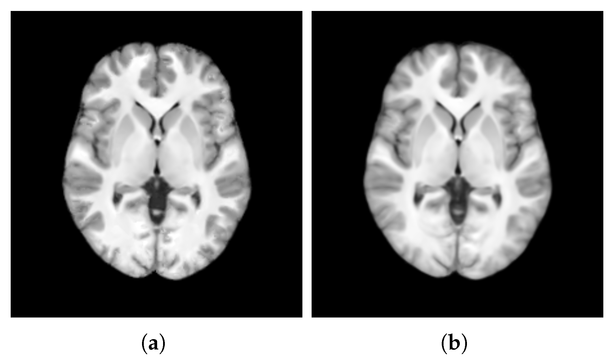 Bioengineering 12 00722 g013 Bioengineering 12 00722 g013