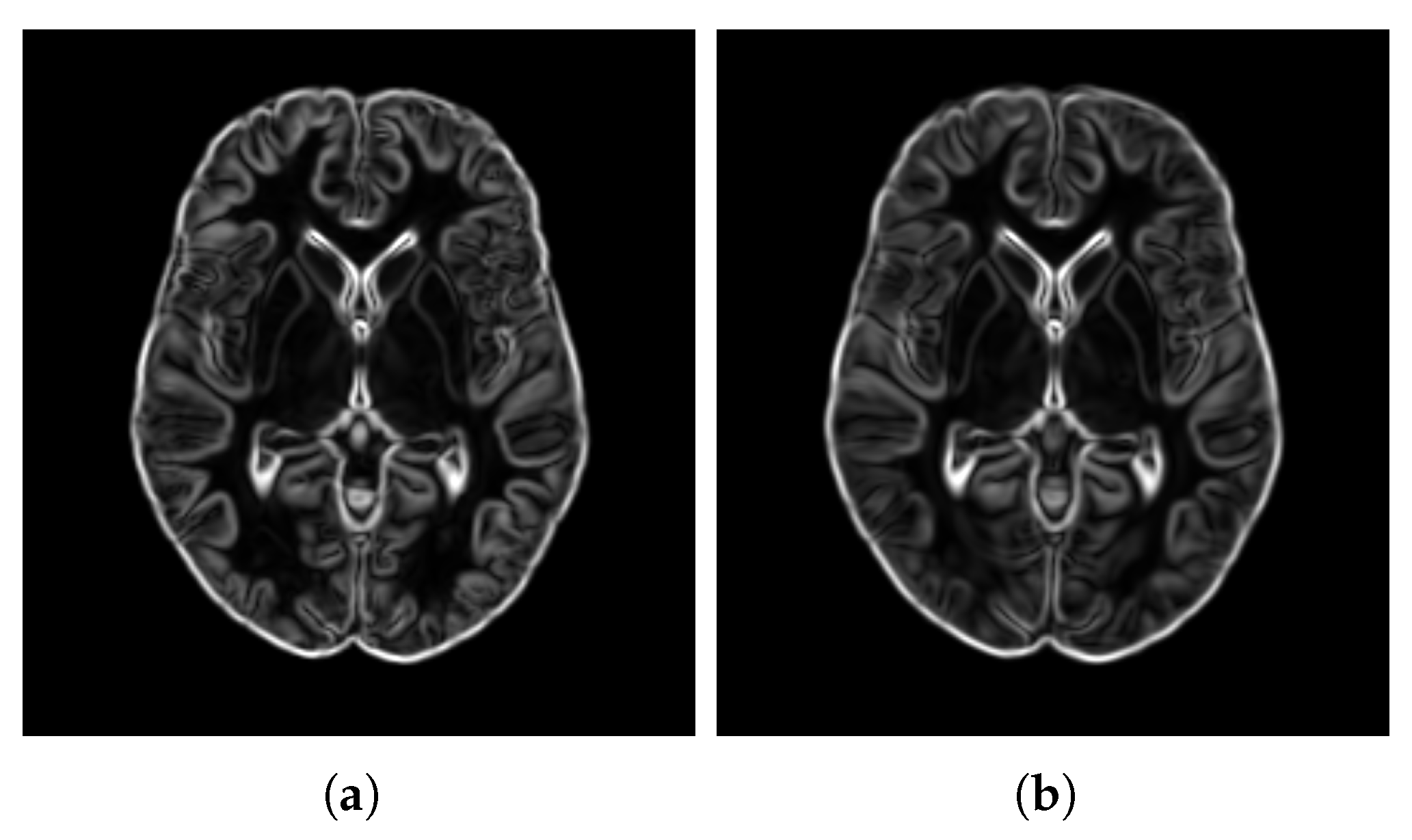 Bioengineering 12 00722 g014 Bioengineering 12 00722 g014