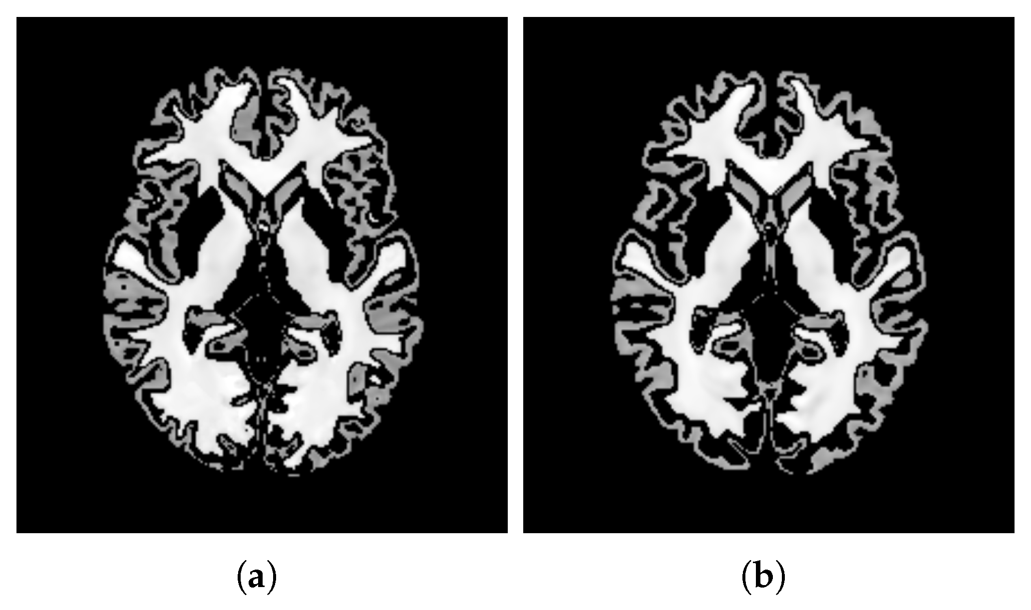 Bioengineering 12 00722 g015 Bioengineering 12 00722 g015