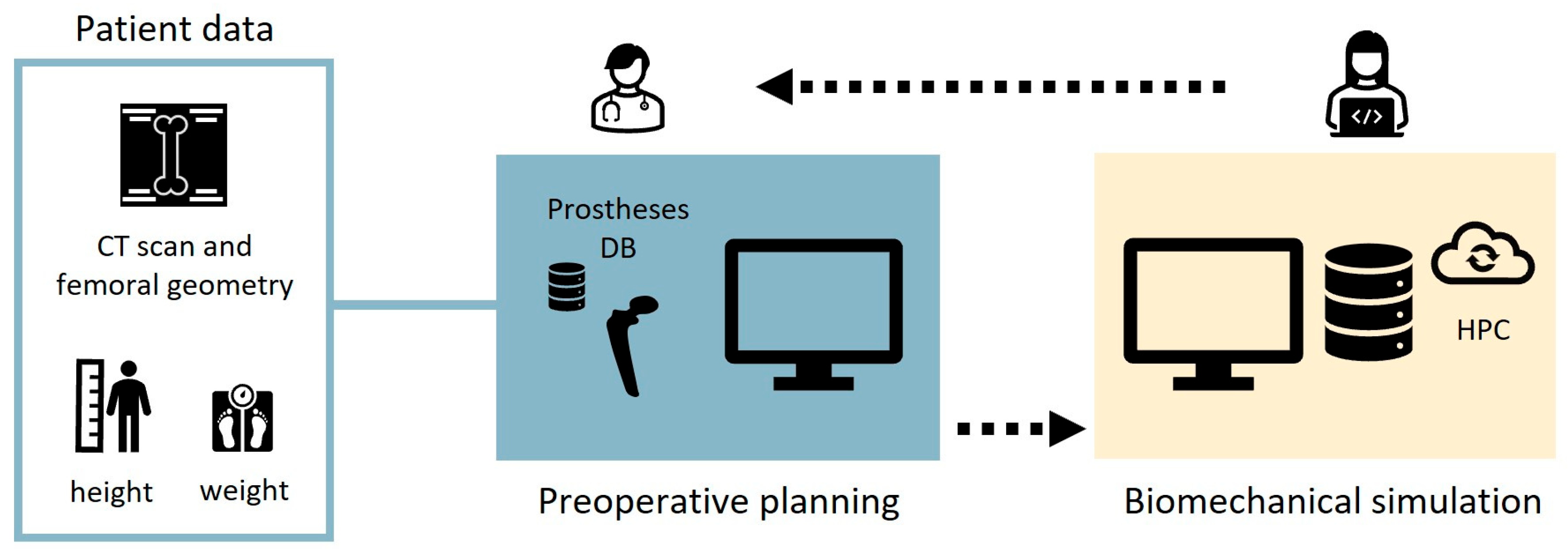 Bioengineering 12 00723 g001
