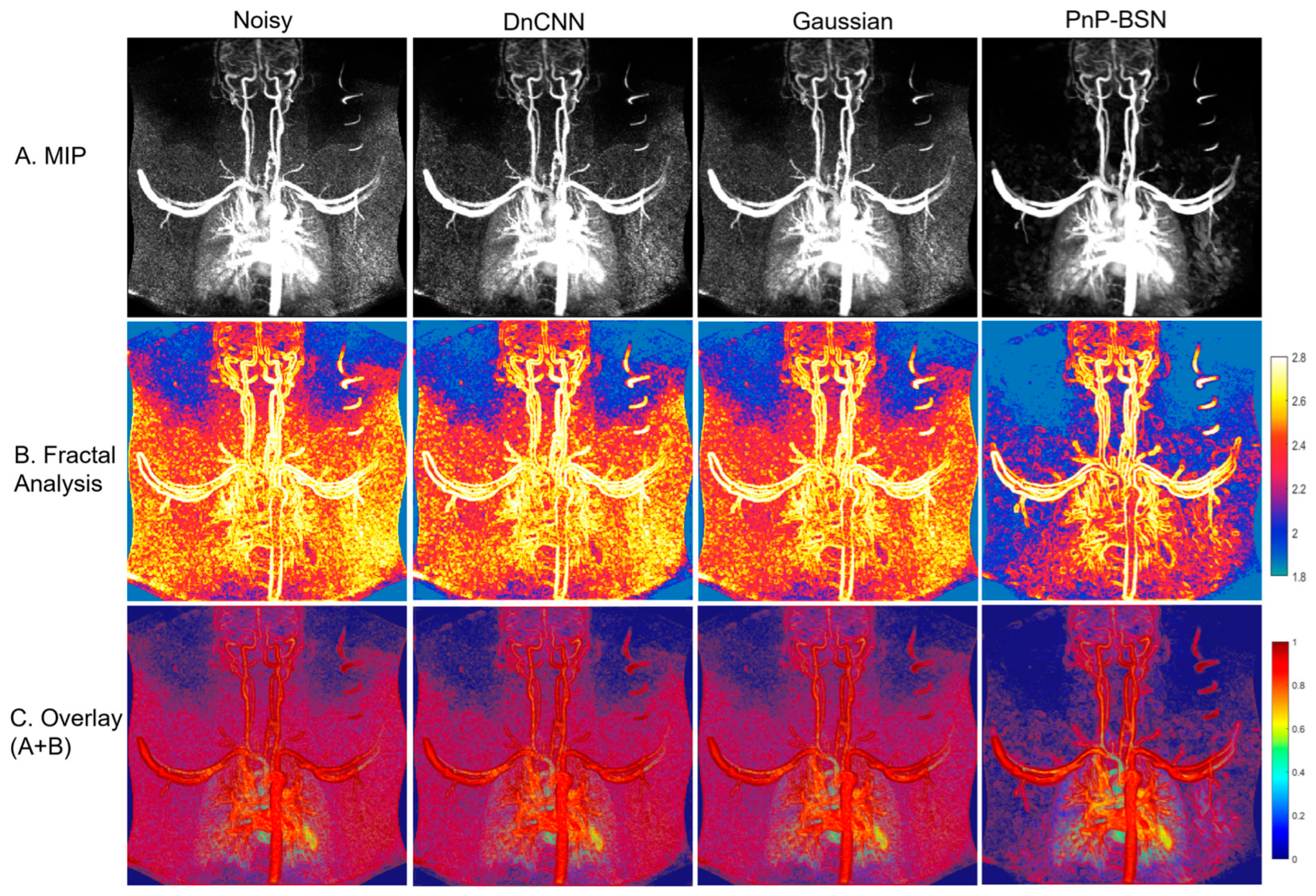 Bioengineering 12 00724 g002
