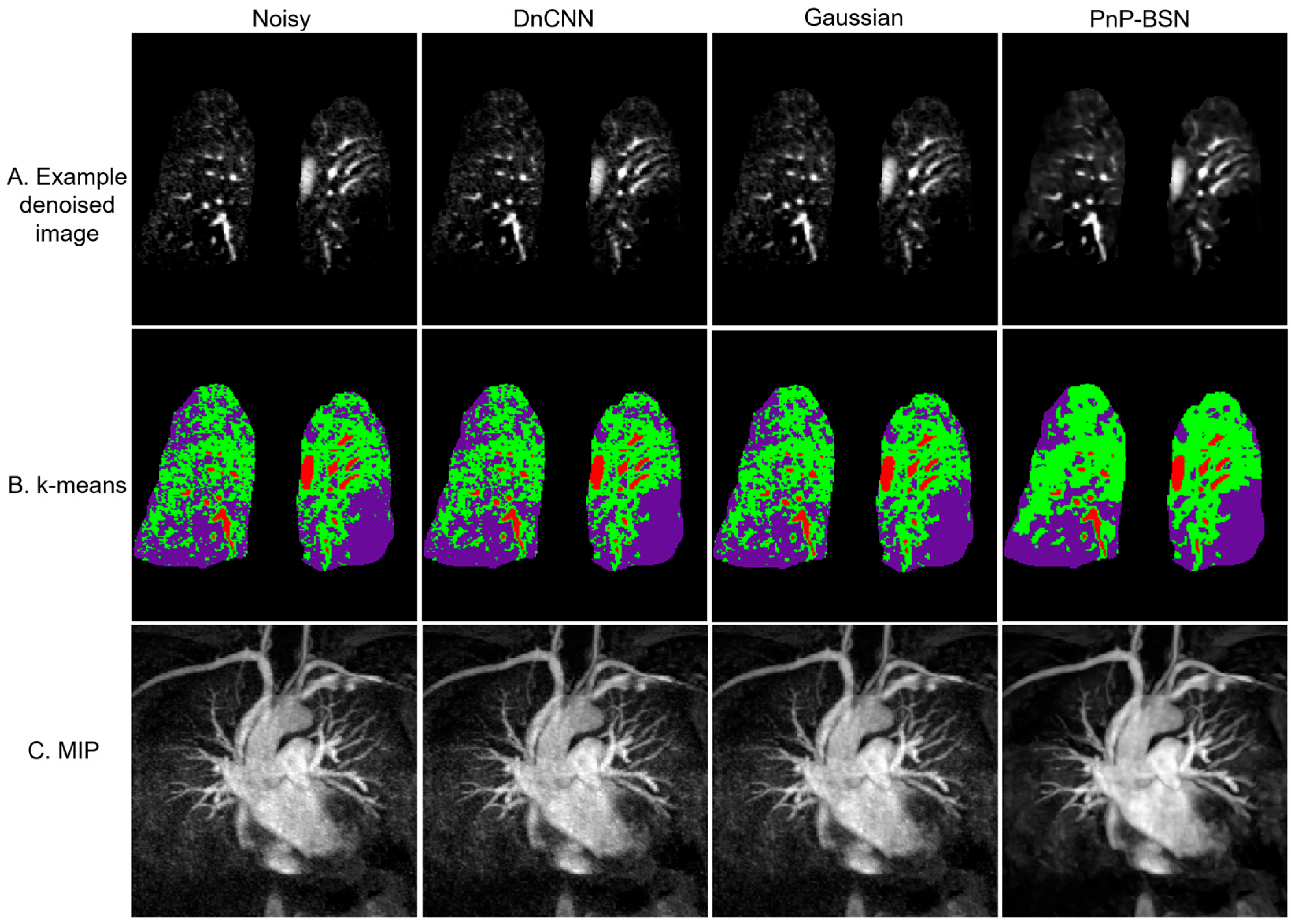 Bioengineering 12 00724 g003