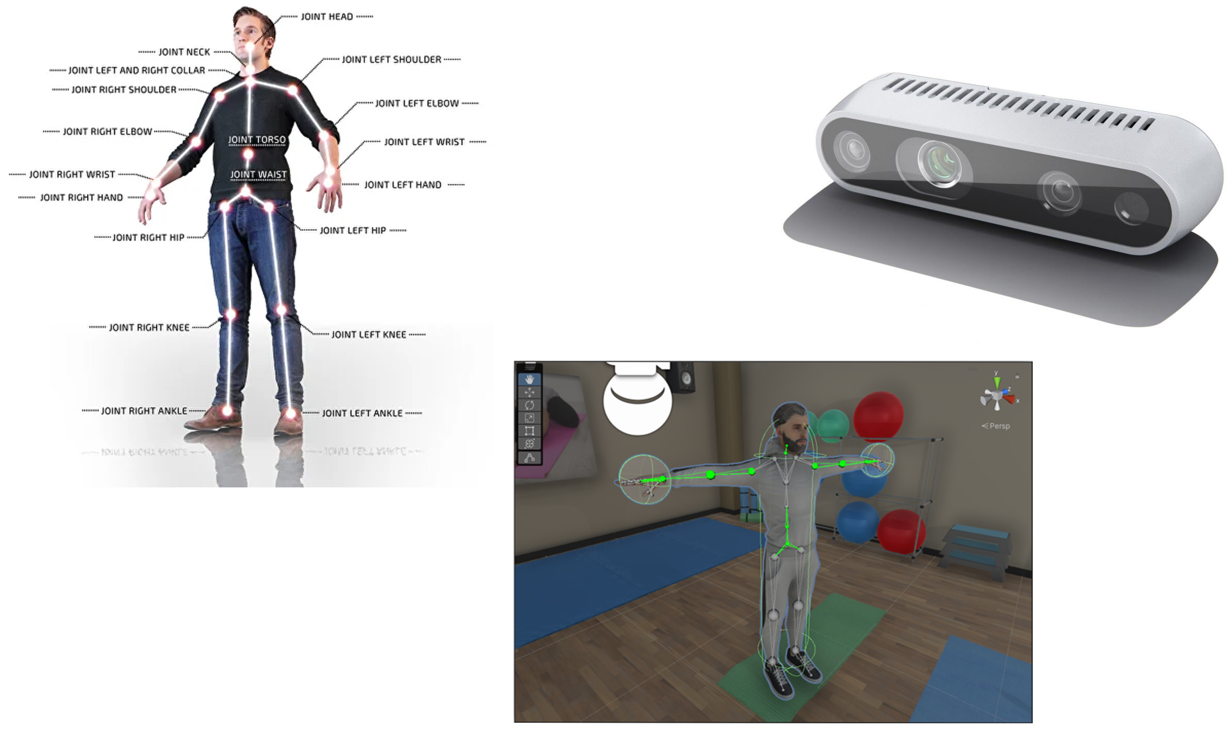 Bioengineering 12 00726 g001