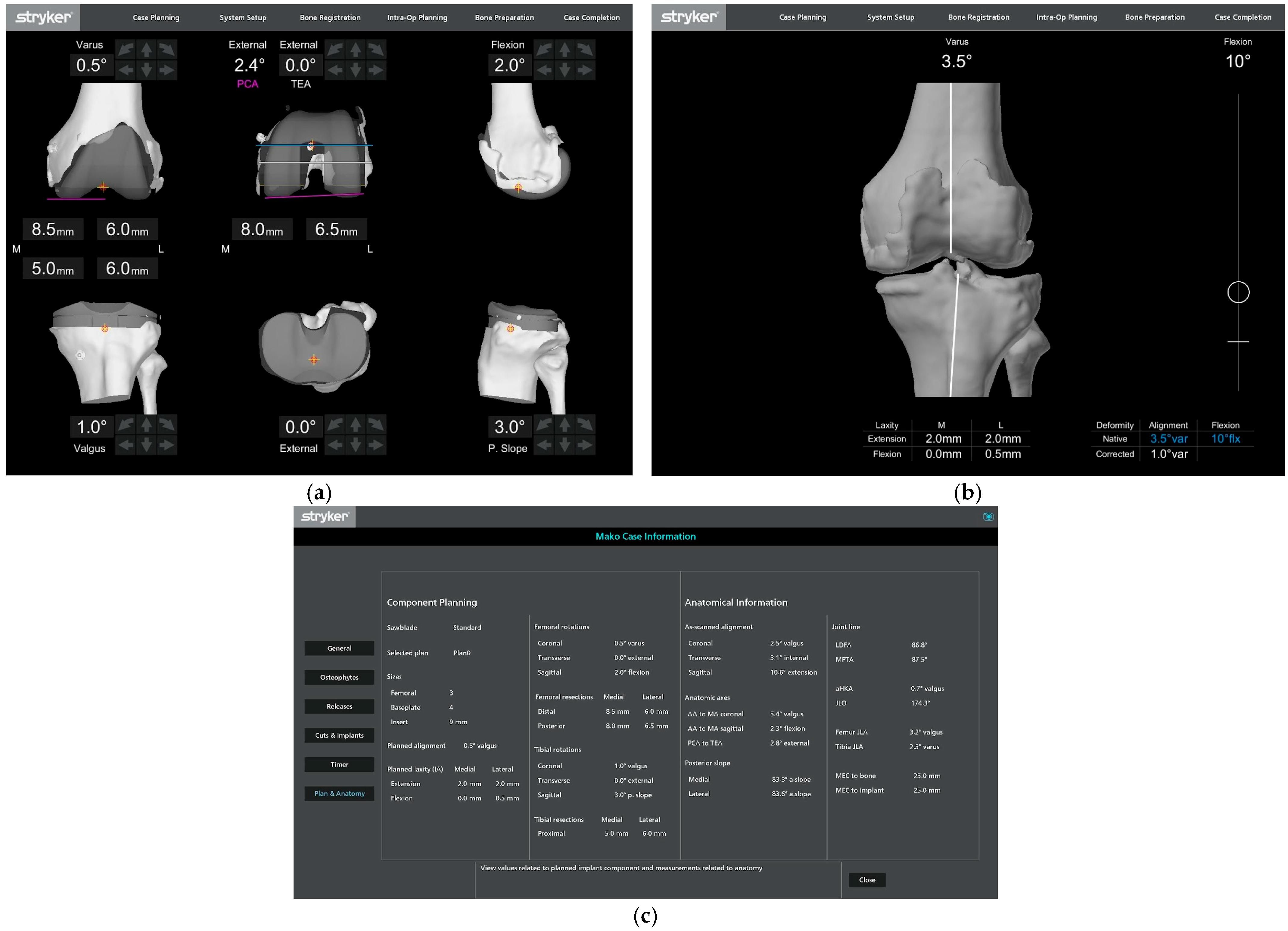Bioengineering 12 00727 g001