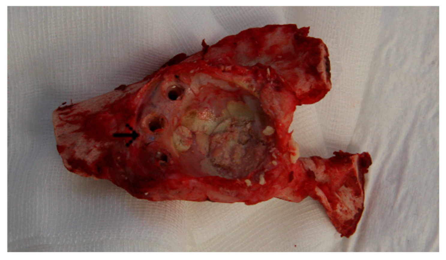 Bioengineering 12 00729 g001