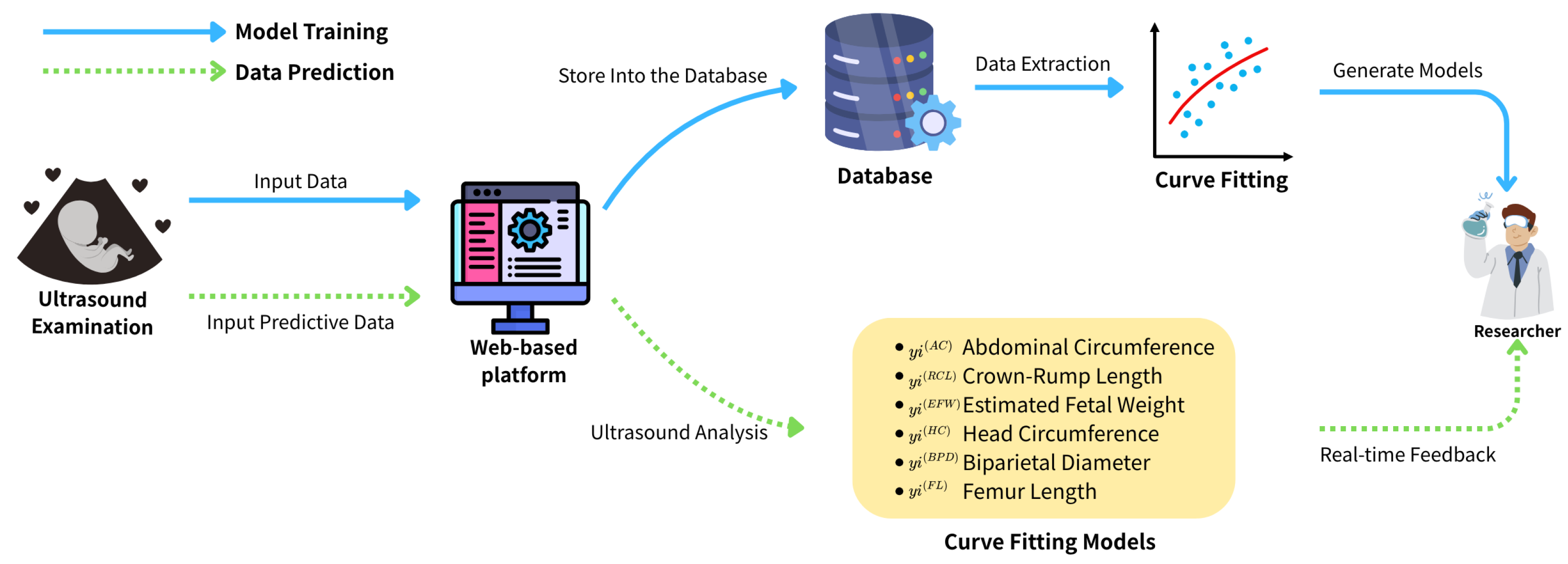 Bioengineering 12 00730 g001