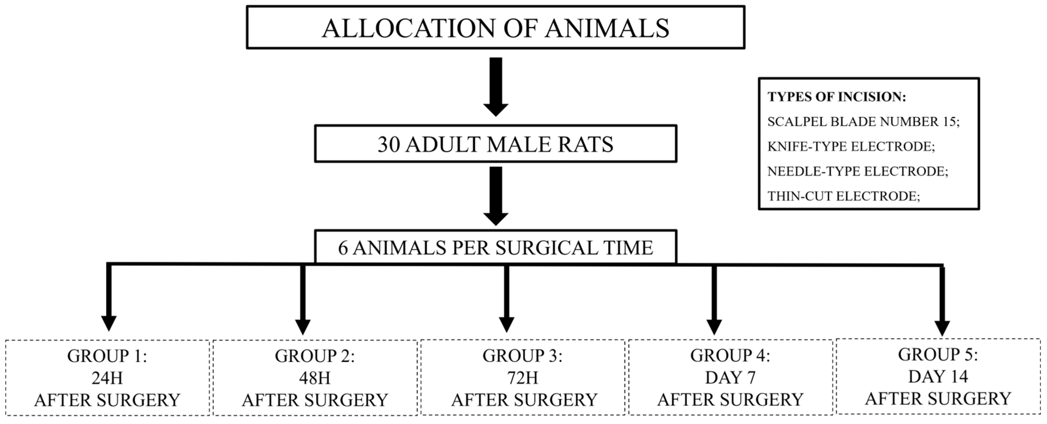 Bioengineering 12 00732 g001 Bioengineering 12 00732 g001