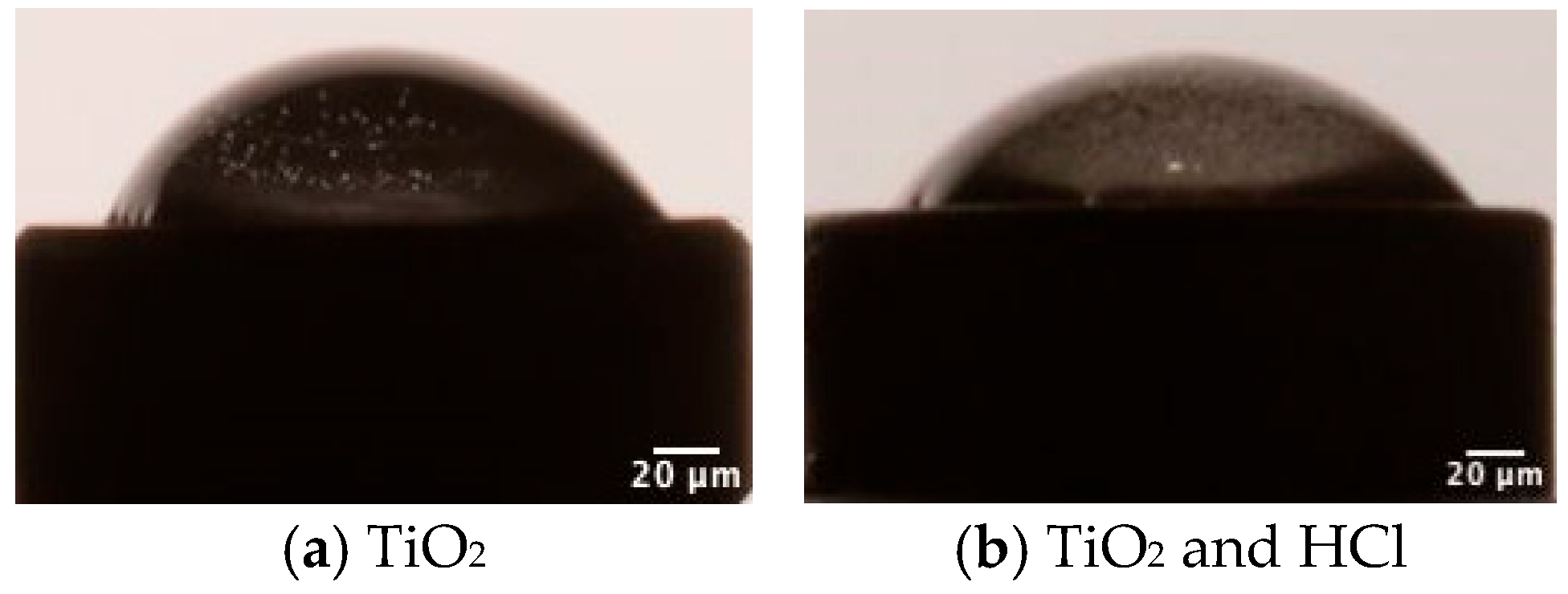 Bioengineering 12 00735 g004