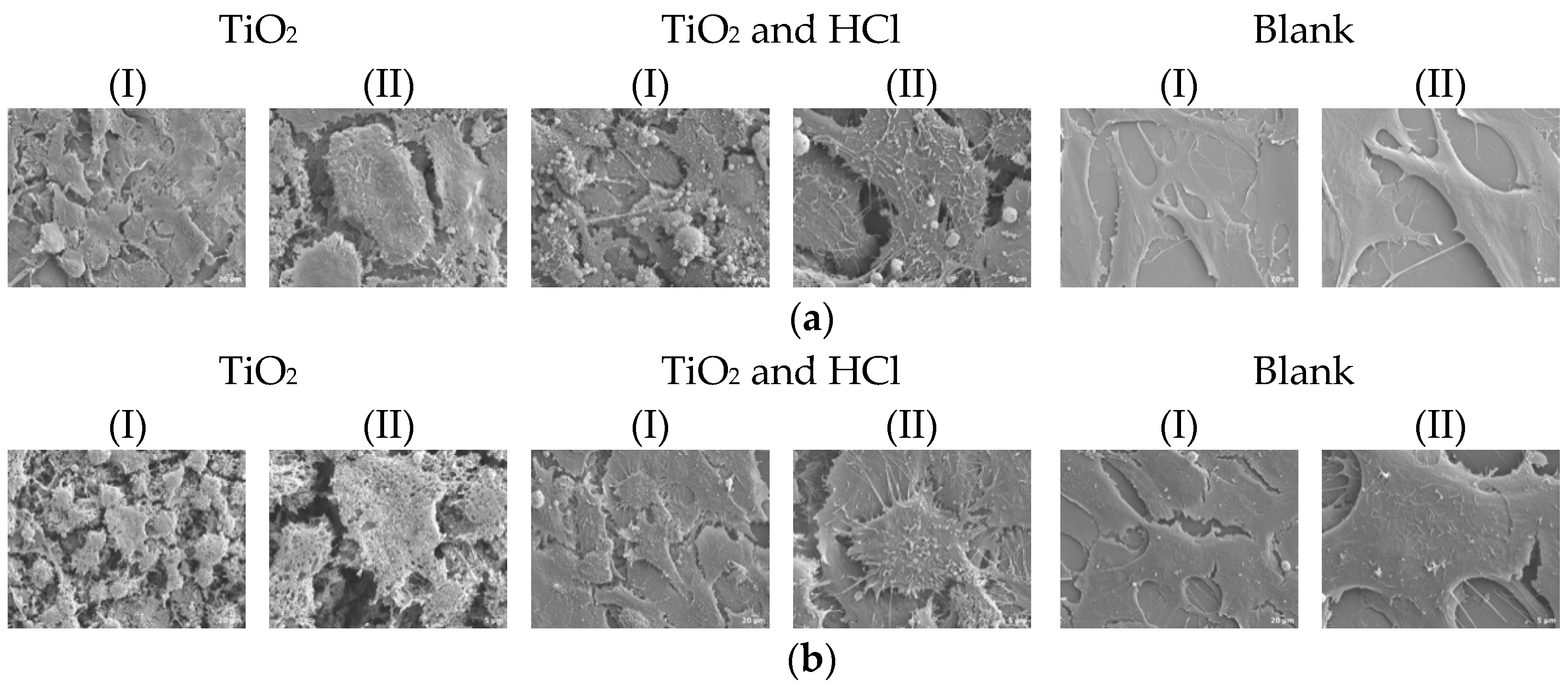 Bioengineering 12 00735 g008