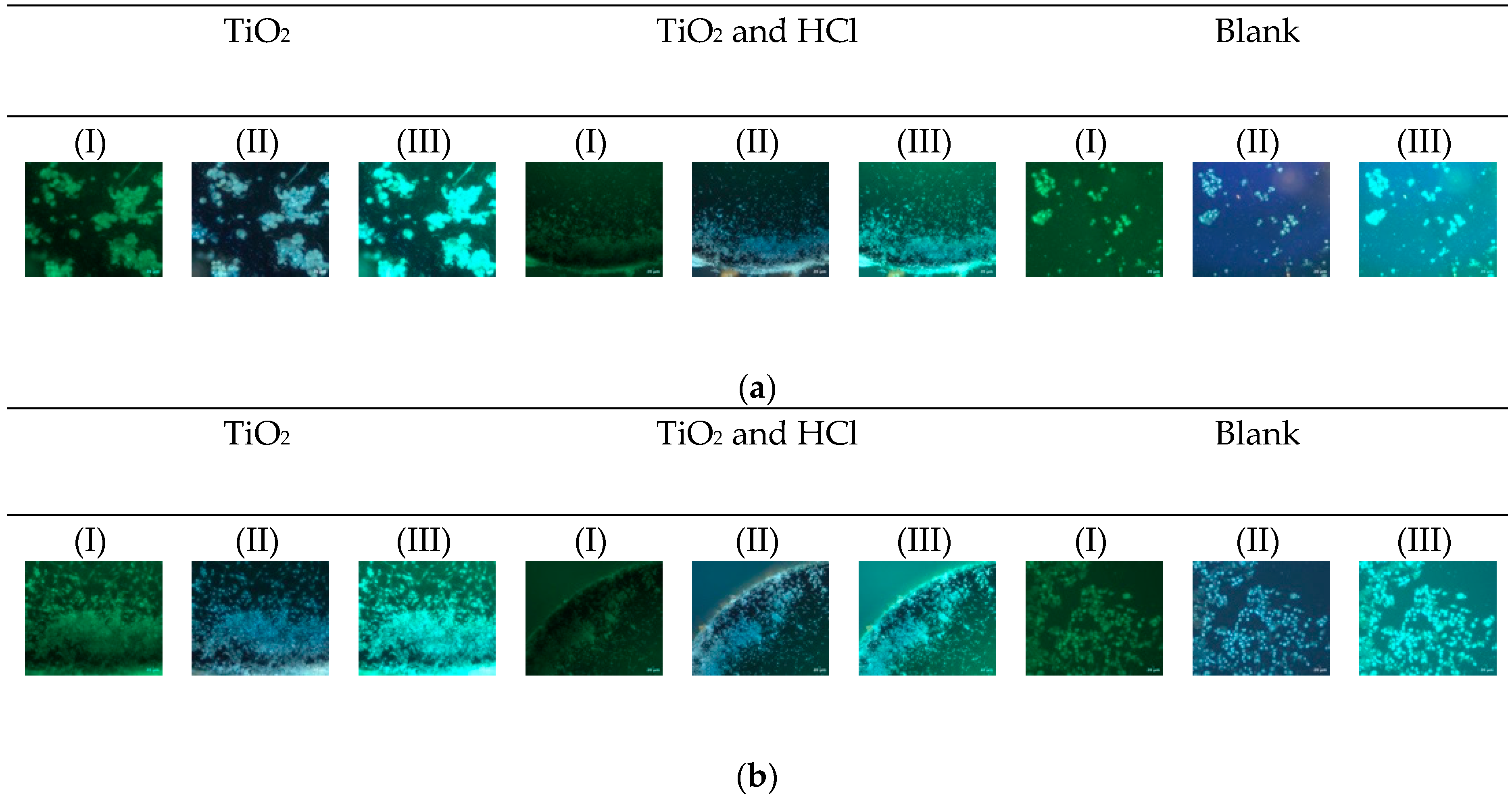 Bioengineering 12 00735 g009