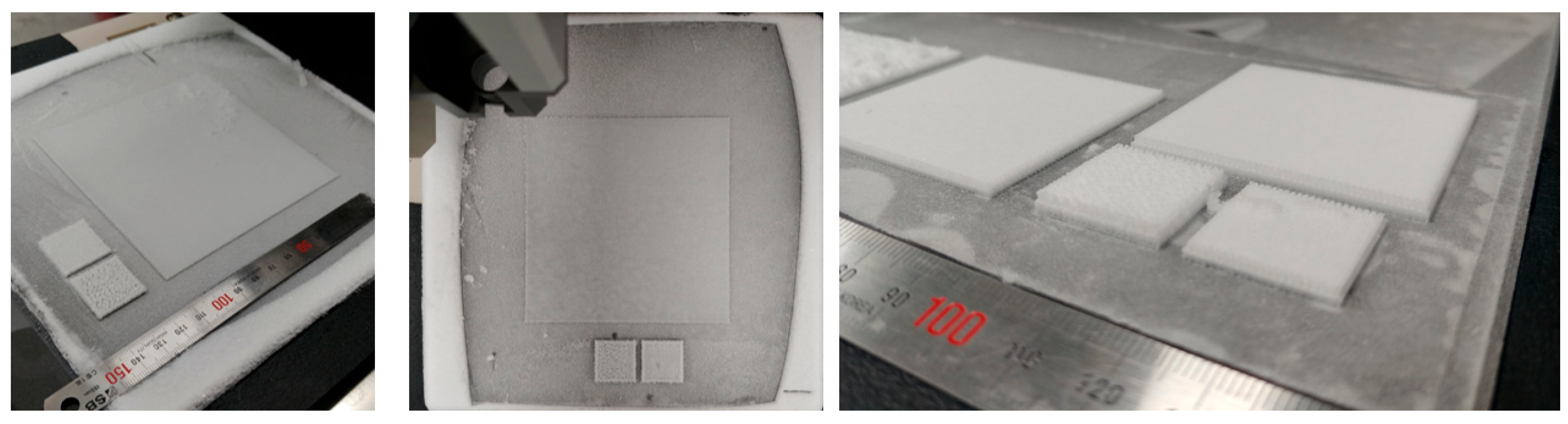 Bioengineering 12 00736 g001