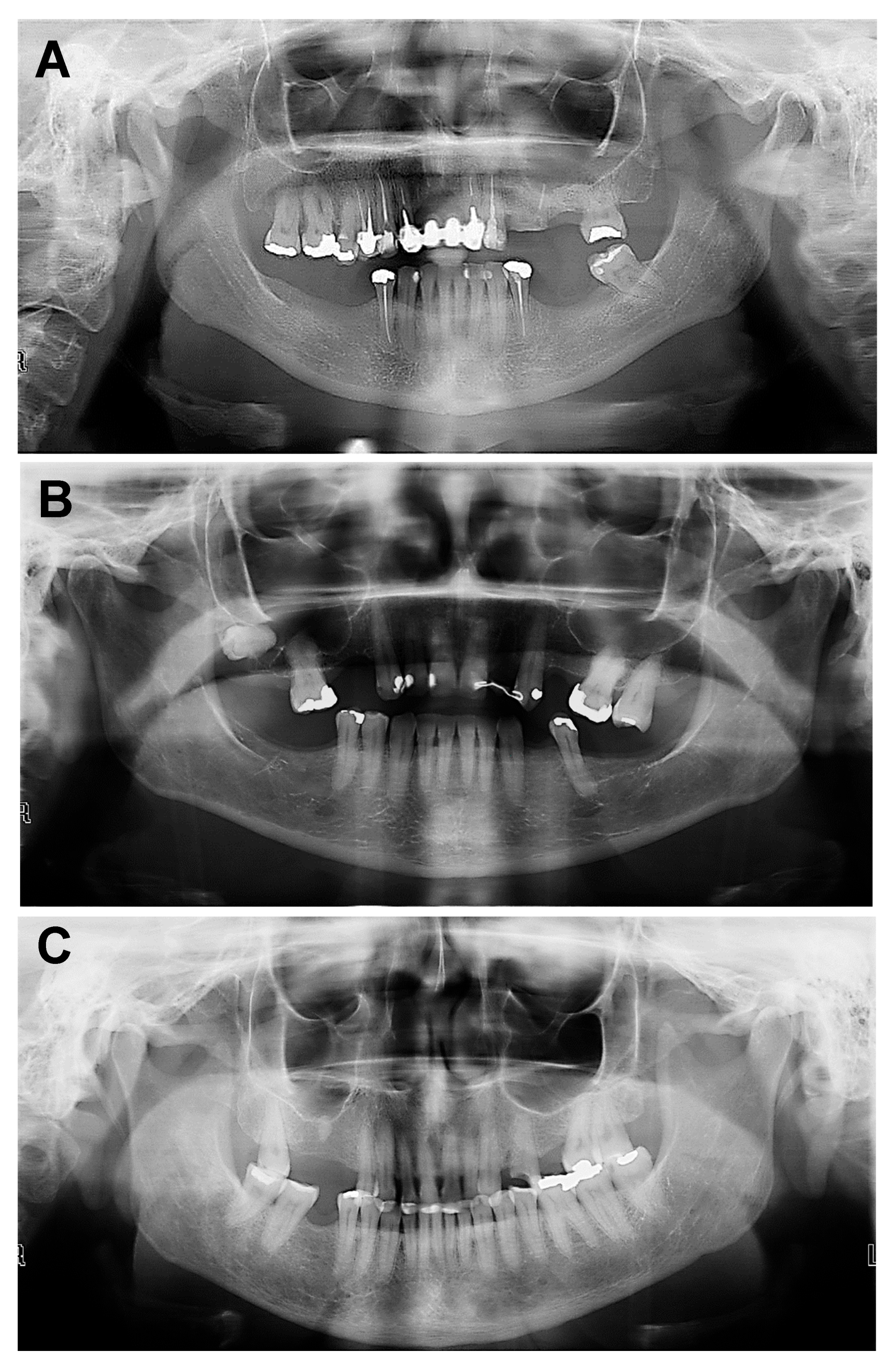 Bioengineering 12 00746 g002