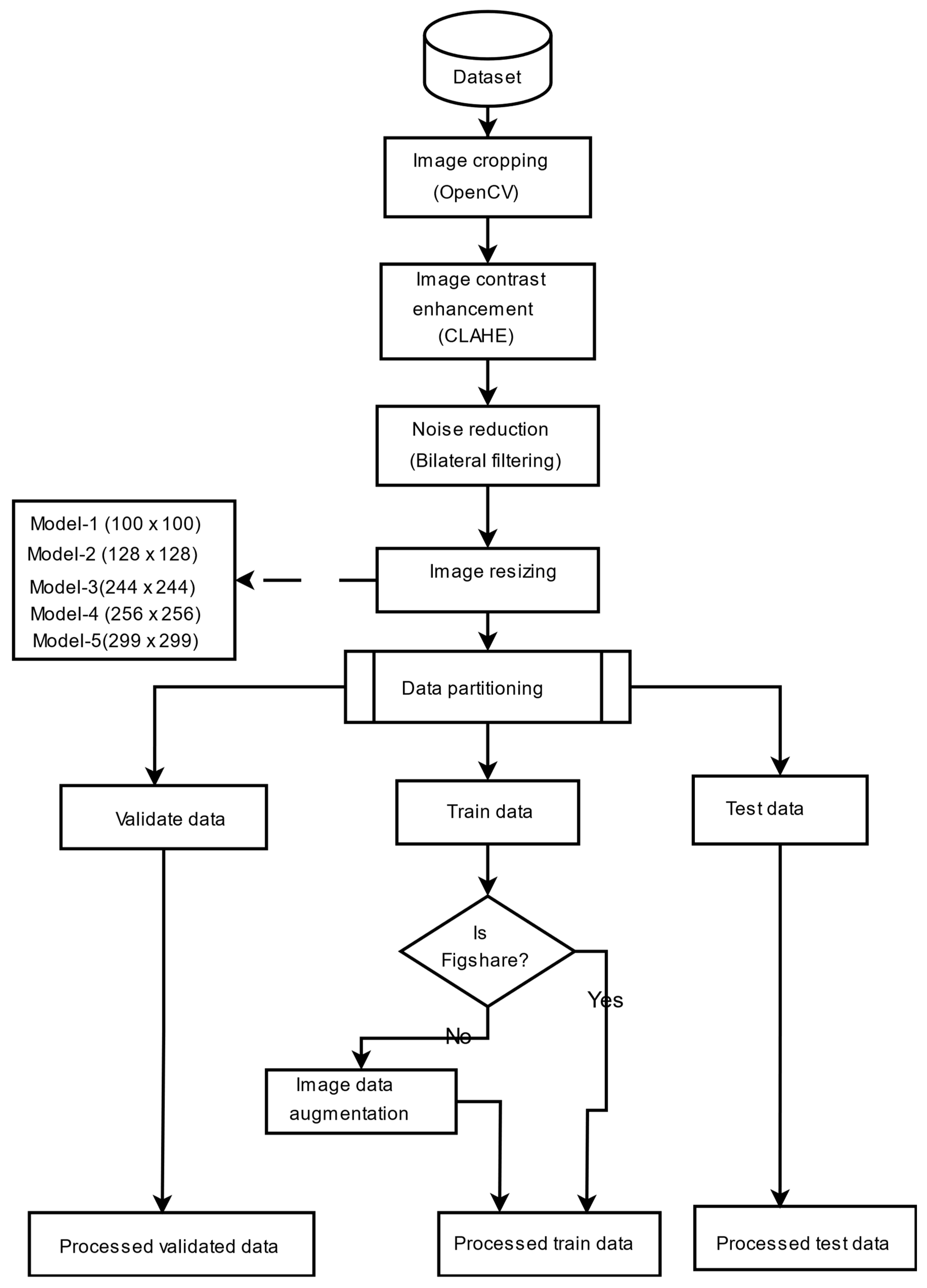 Bioengineering 12 00747 g001