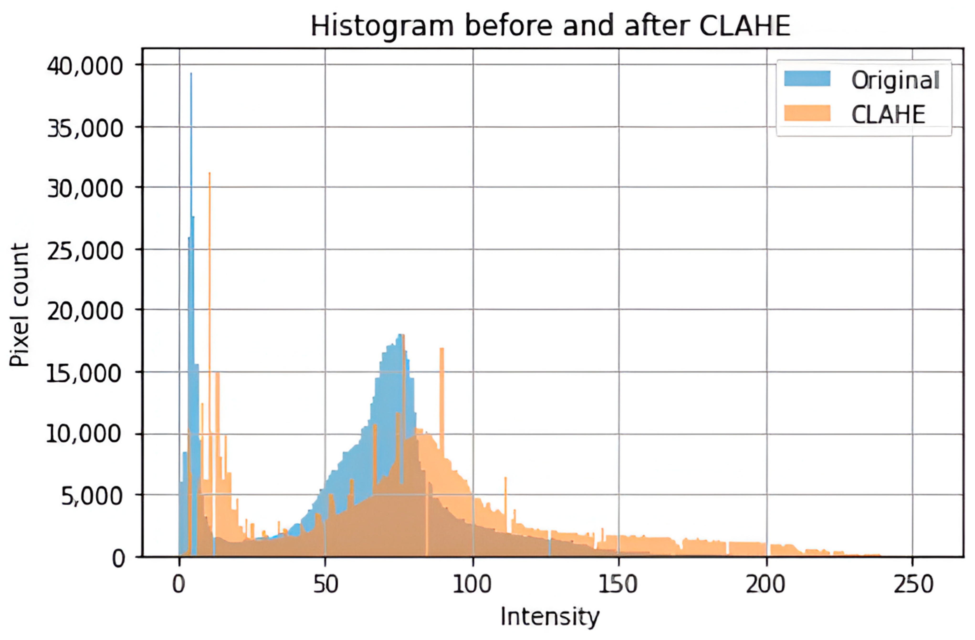Bioengineering 12 00747 g002