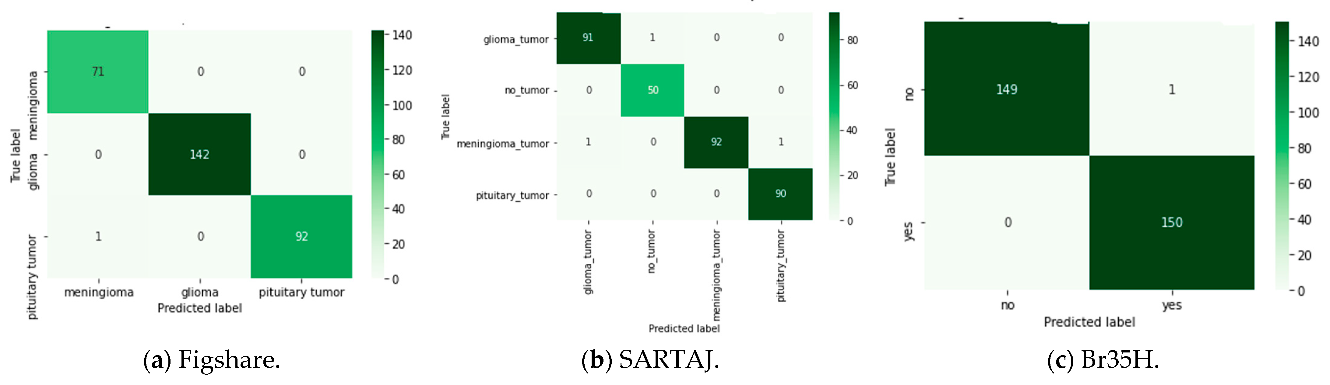 Bioengineering 12 00747 g005