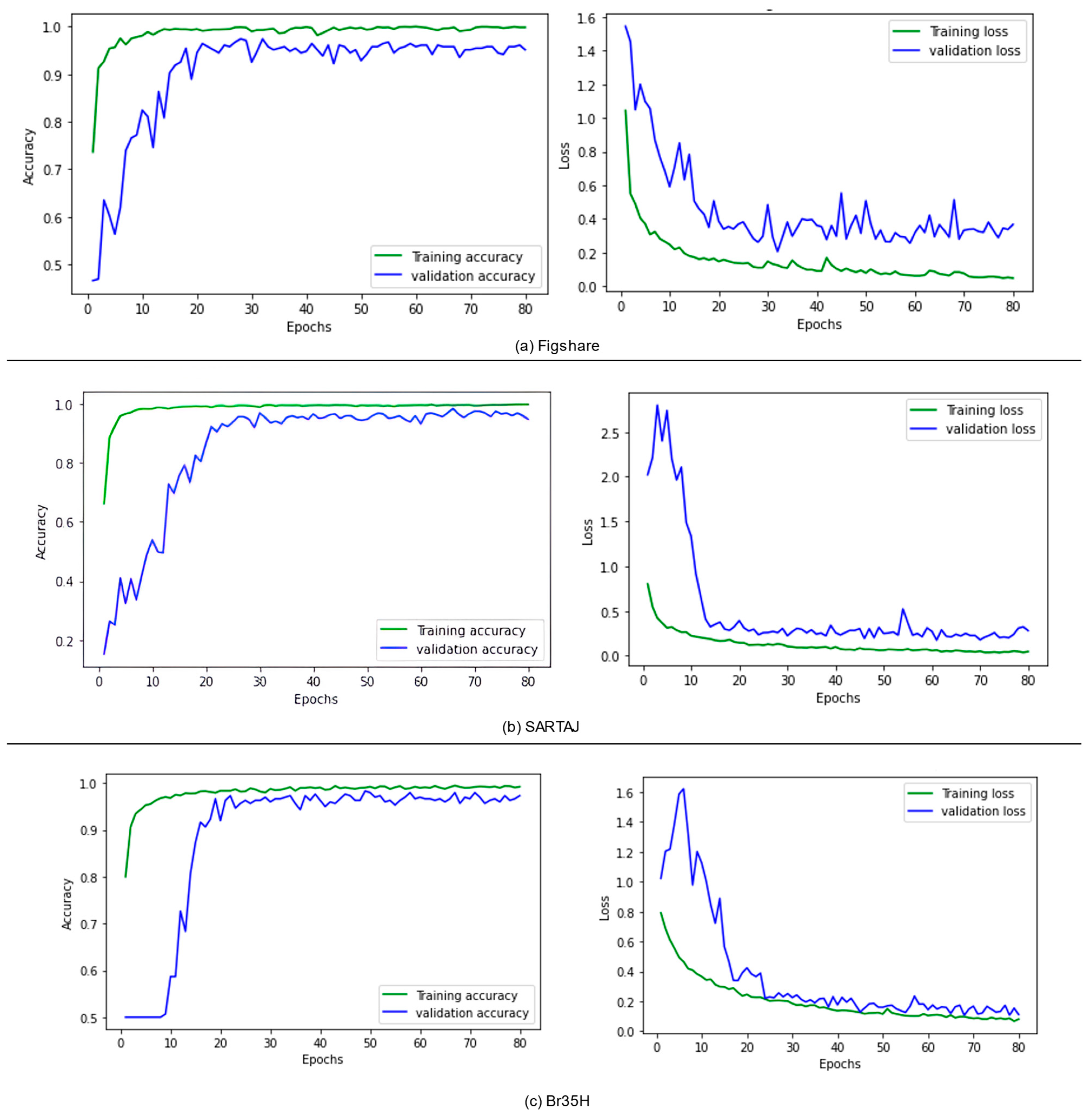 Bioengineering 12 00747 g007