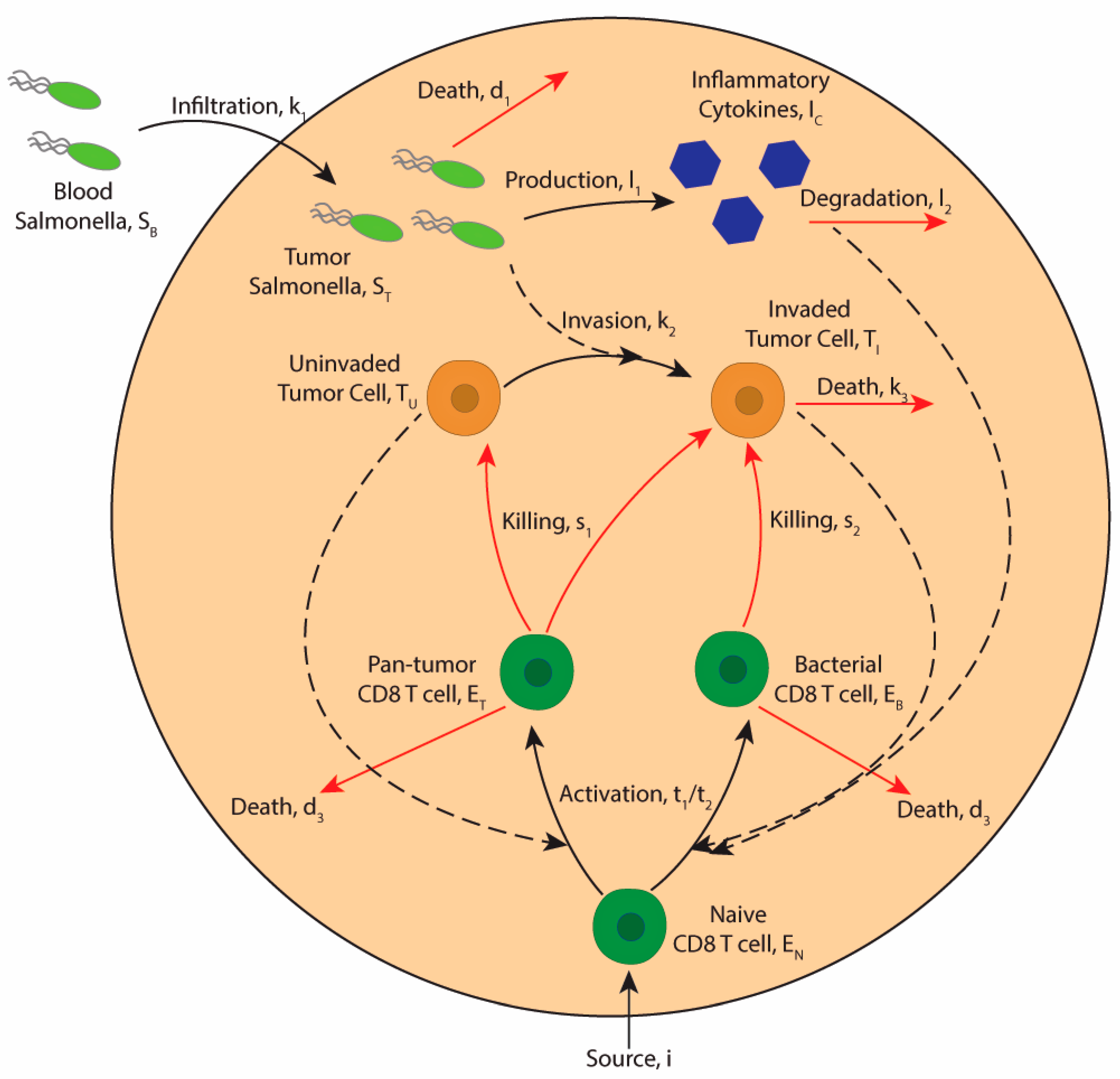 Bioengineering 12 00751 g001
