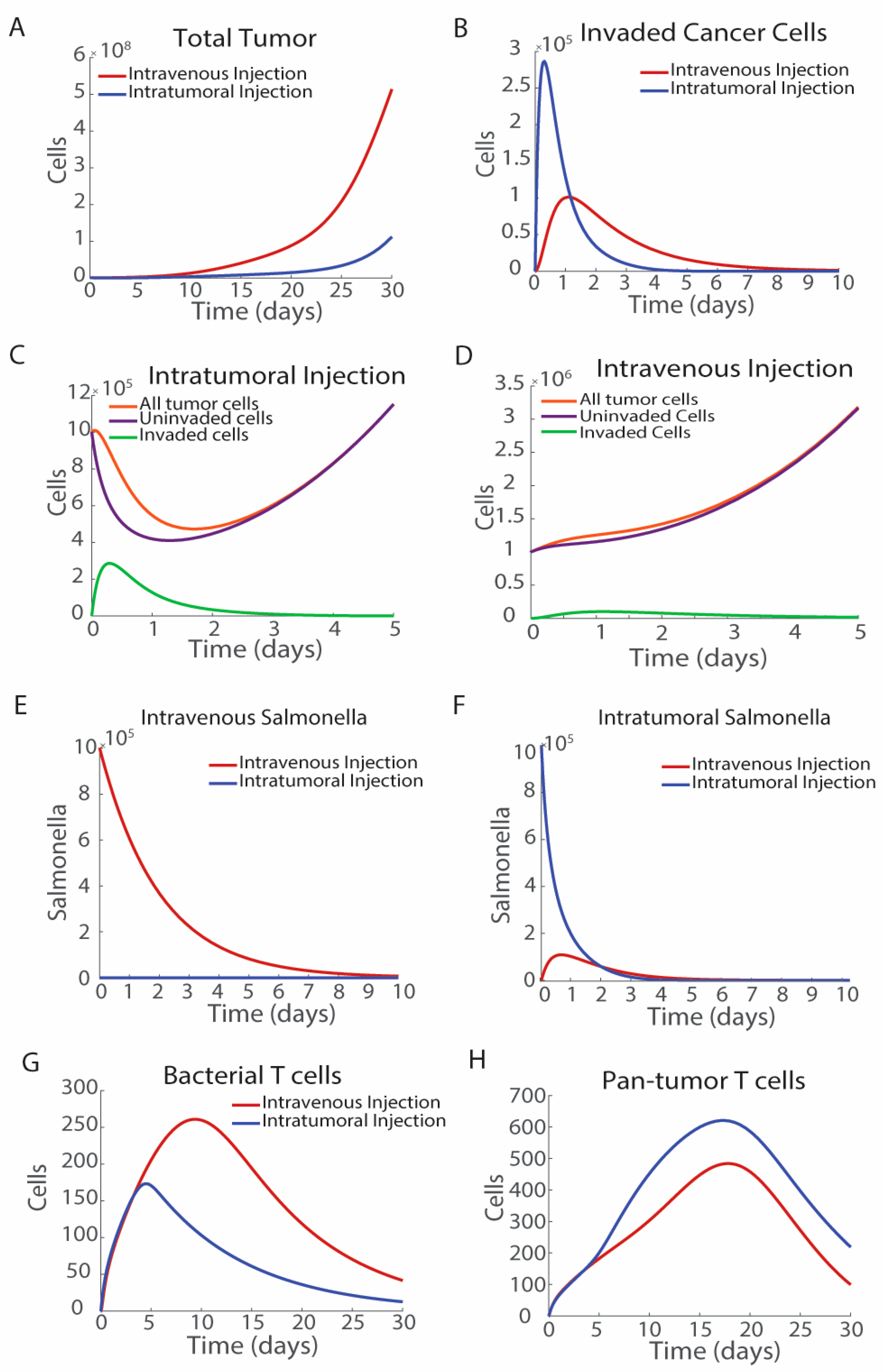 Bioengineering 12 00751 g003