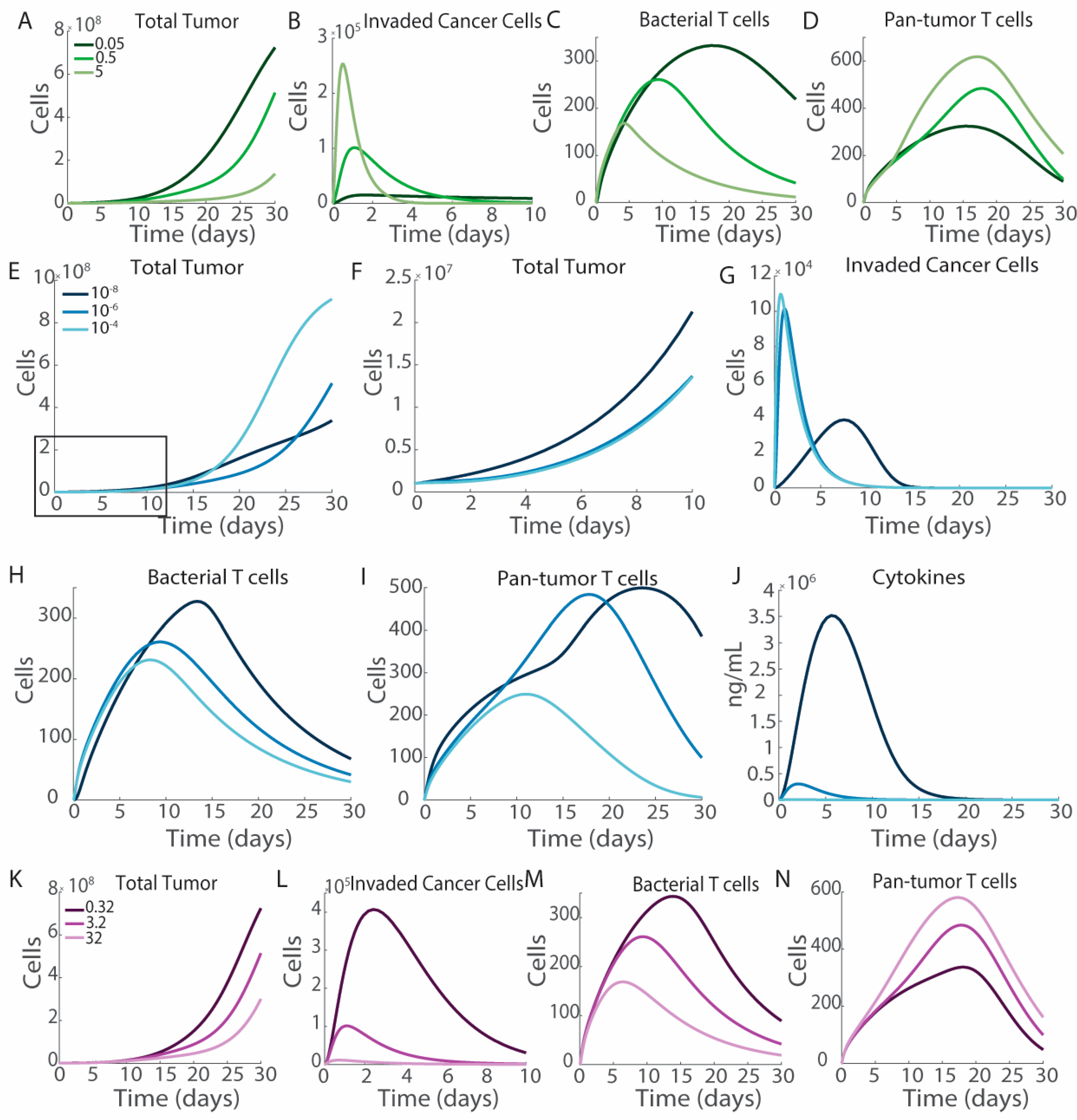 Bioengineering 12 00751 g006