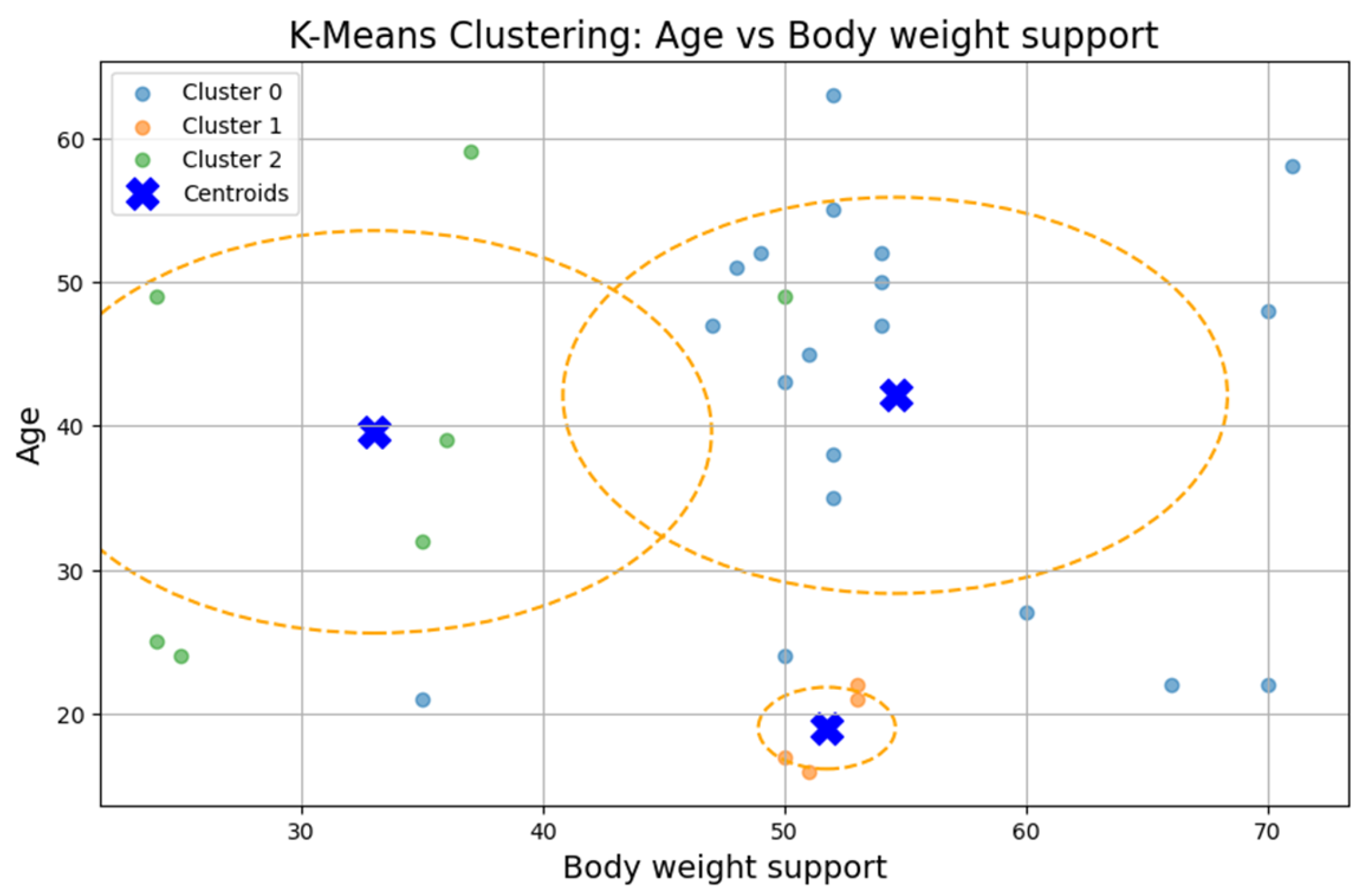 Bioengineering 12 00752 g005