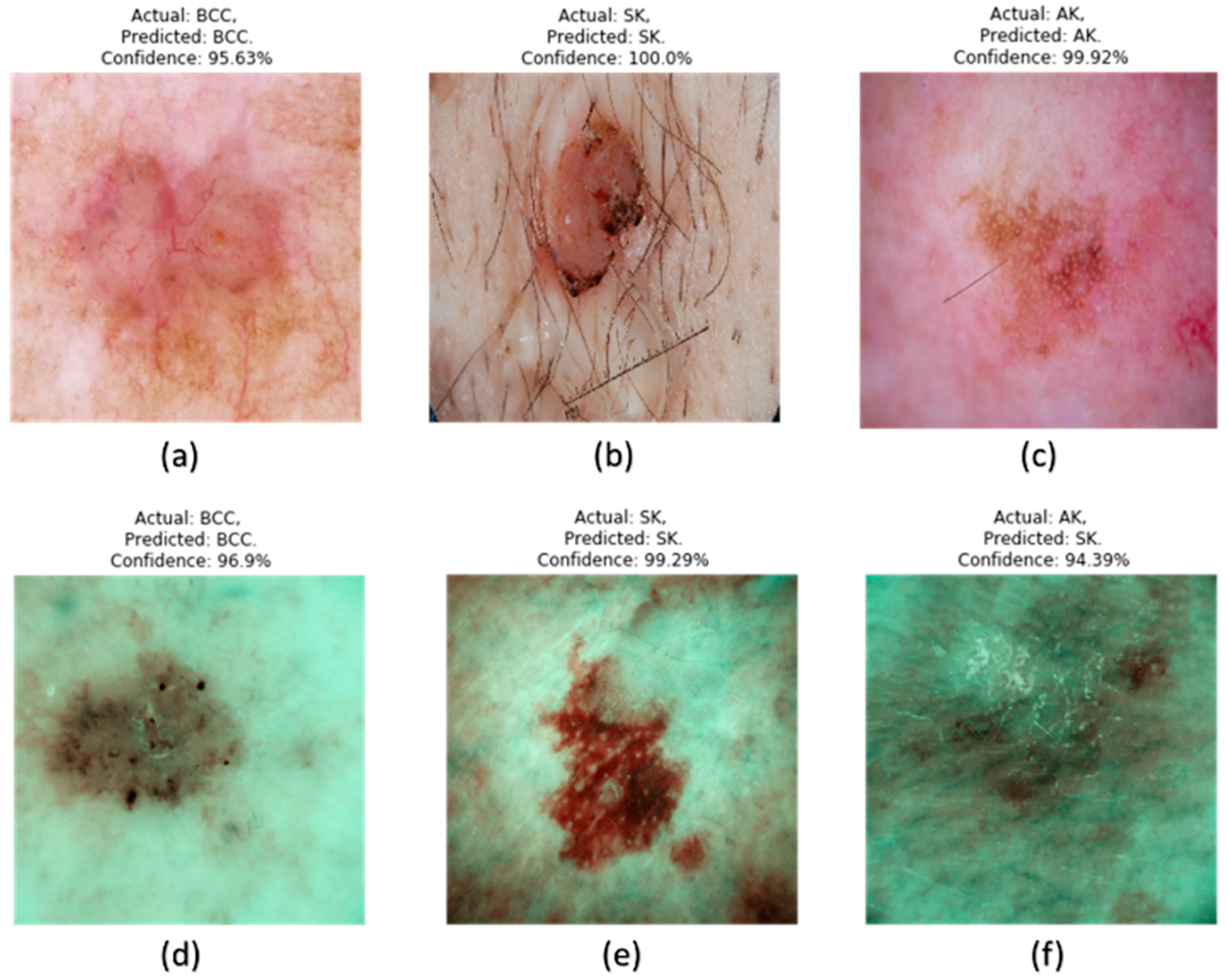 Bioengineering 12 00755 g003