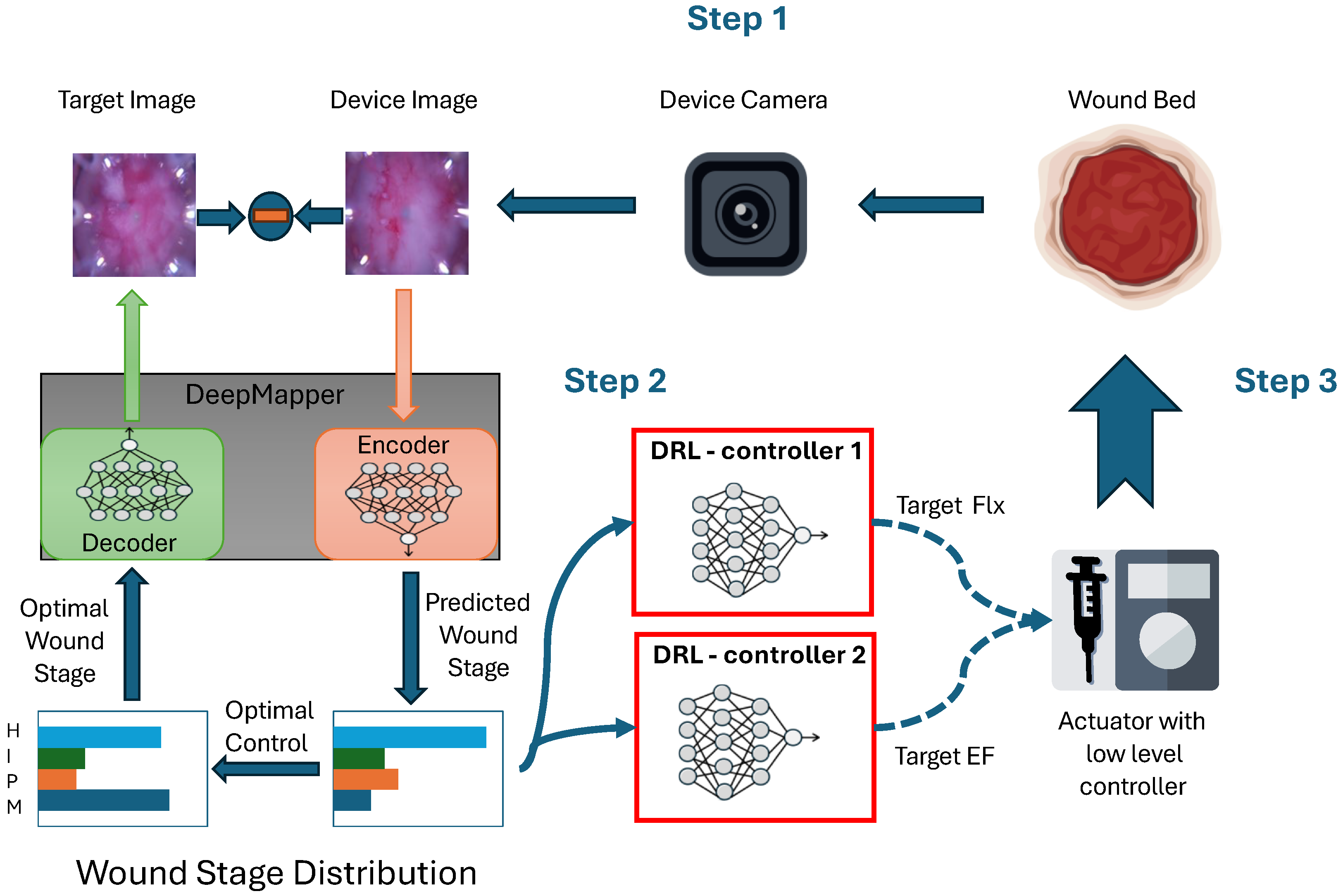 Bioengineering 12 00756 g001