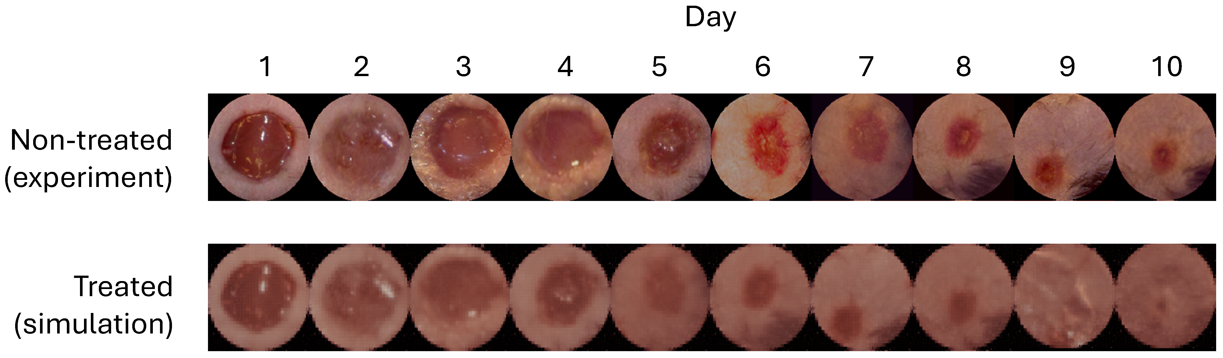 Bioengineering 12 00756 g002