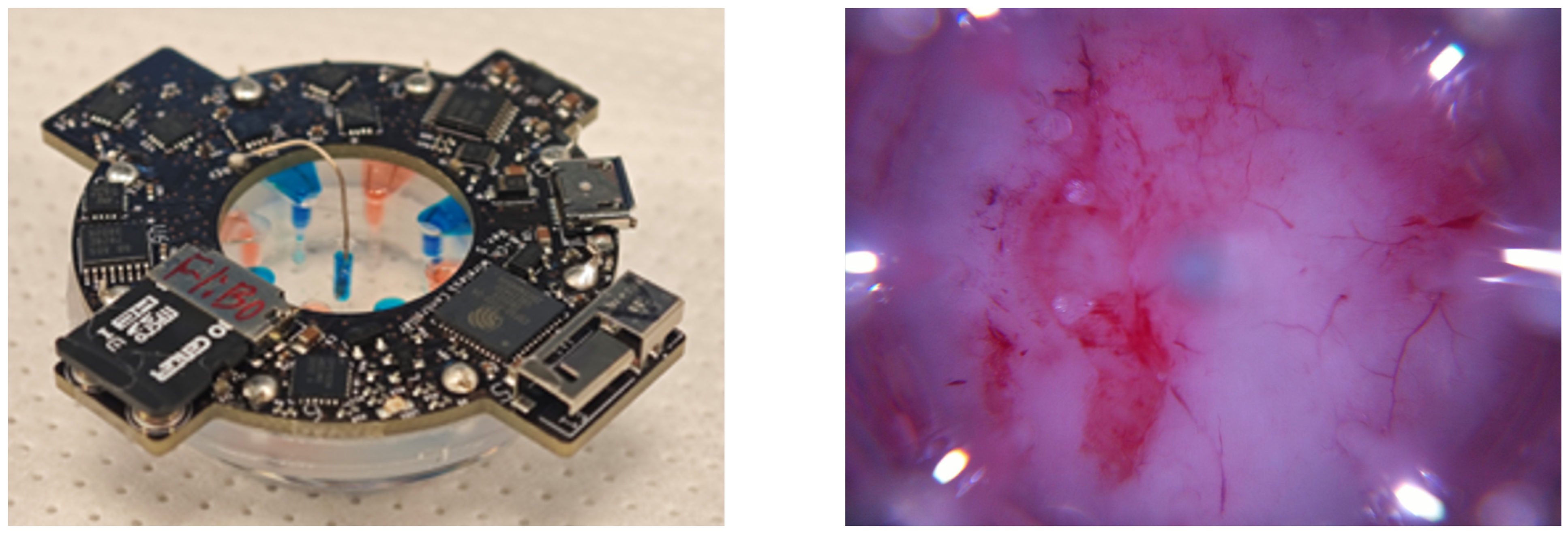 Bioengineering 12 00756 g004