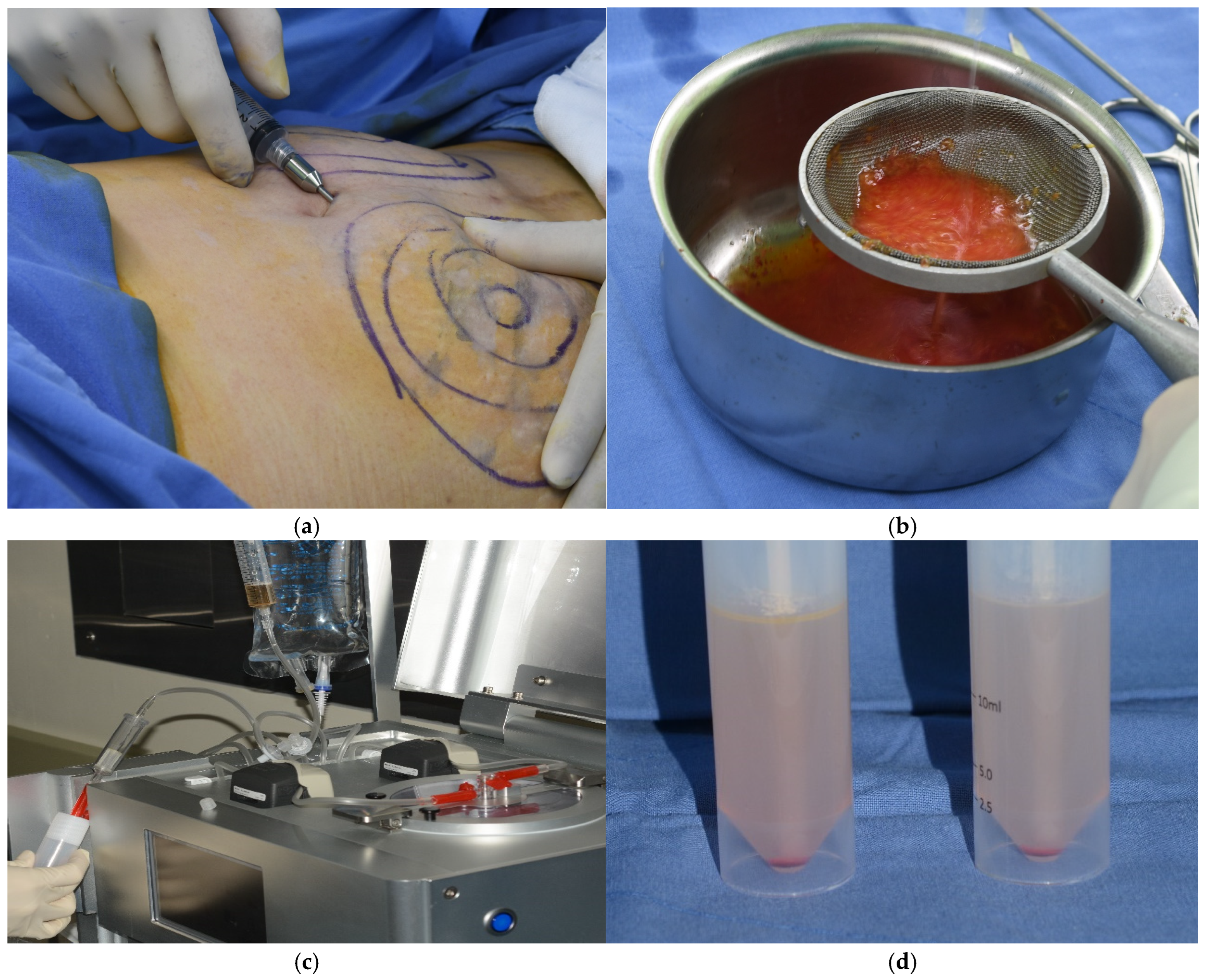 Bioengineering 12 00757 g001