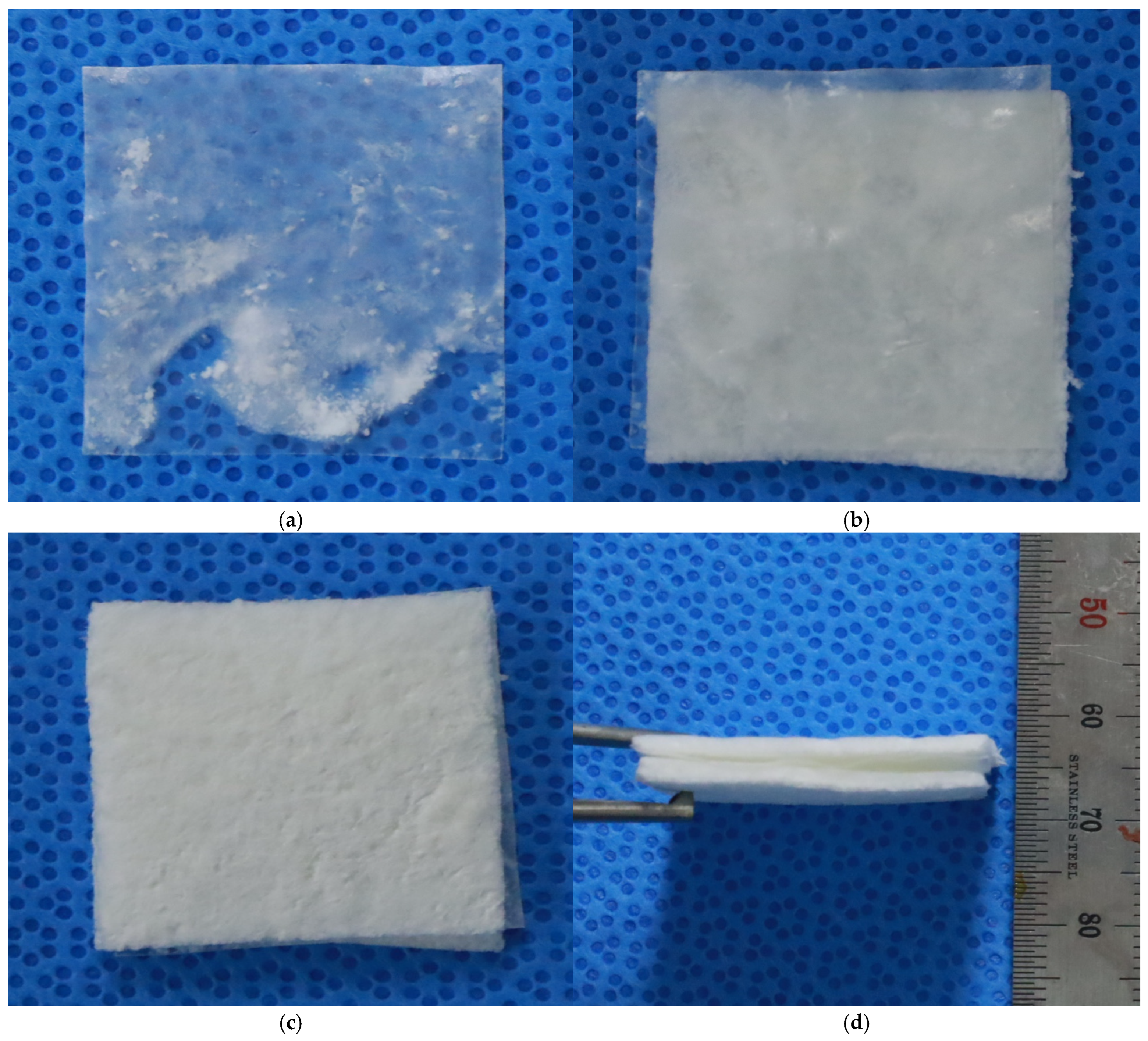 Bioengineering 12 00757 g003