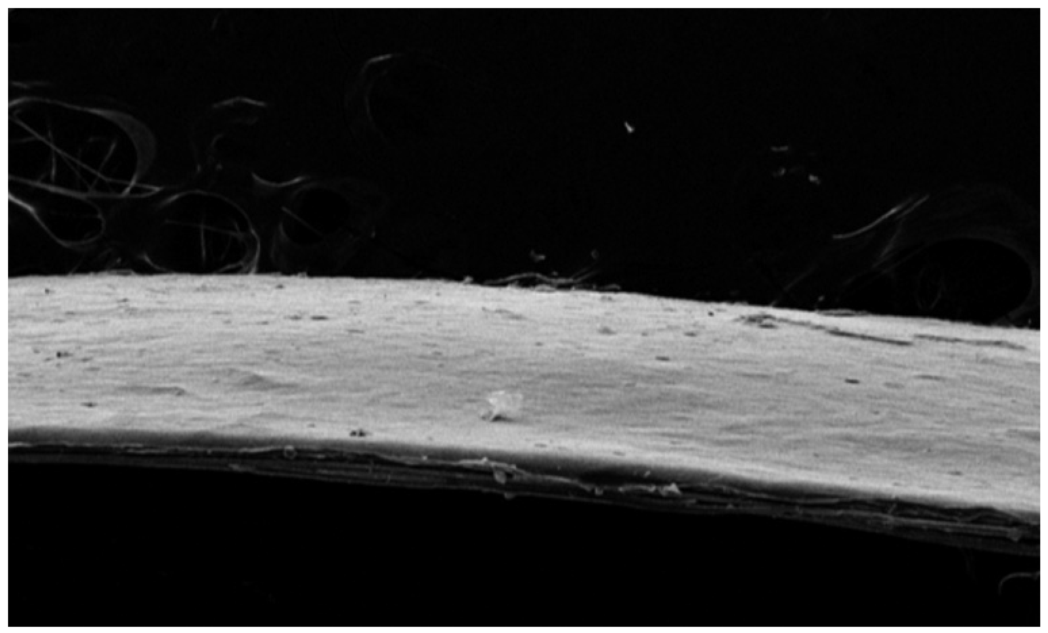 Bioengineering 12 00757 g006