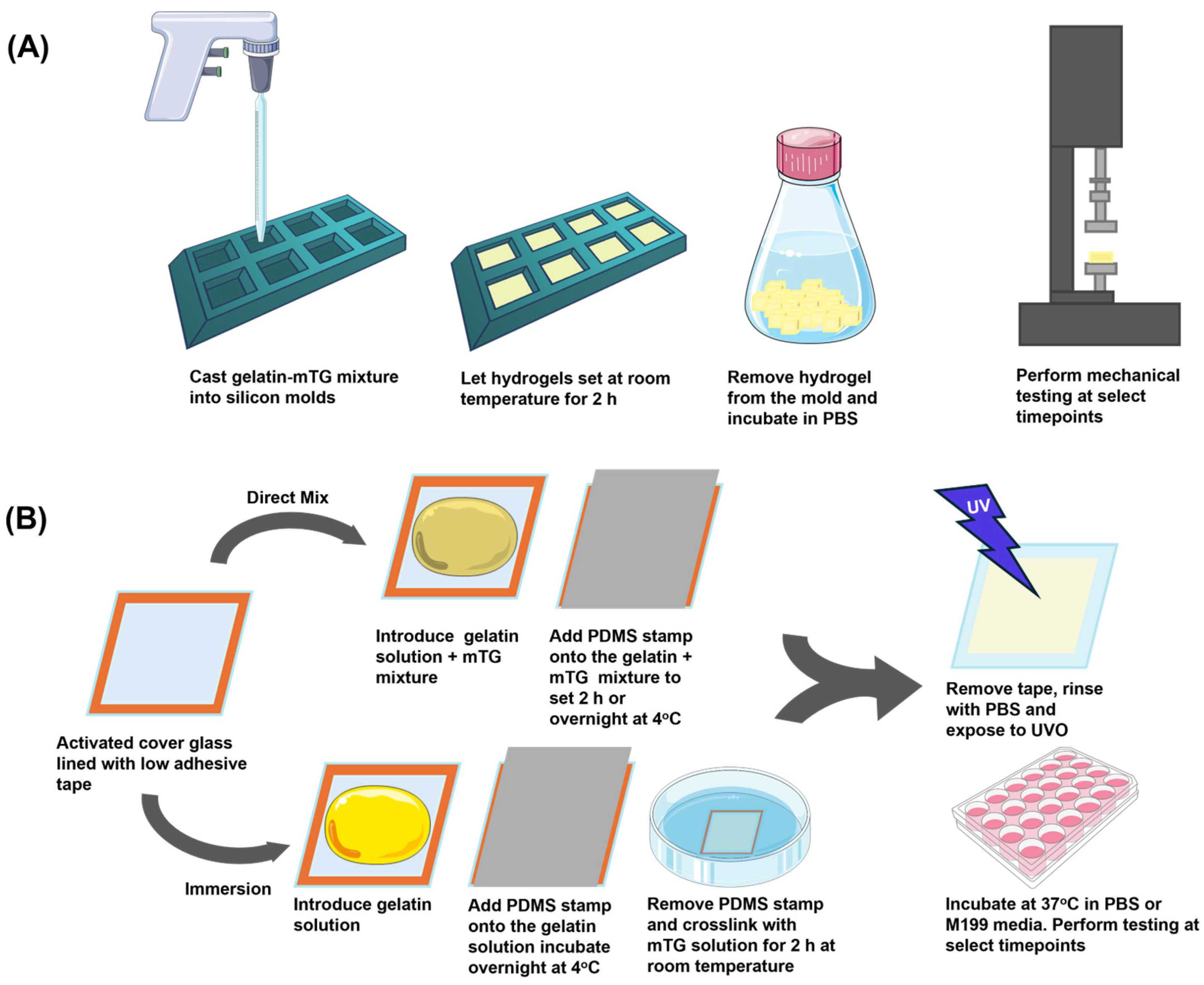 Bioengineering 12 00759 g001
