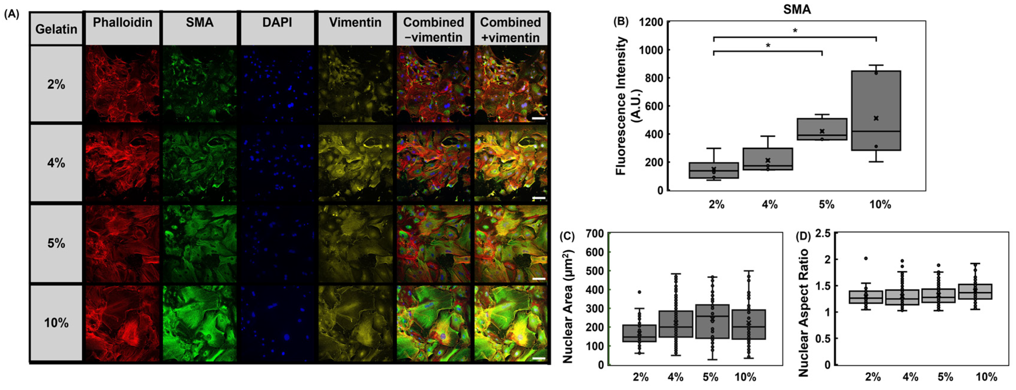 Bioengineering 12 00759 g008
