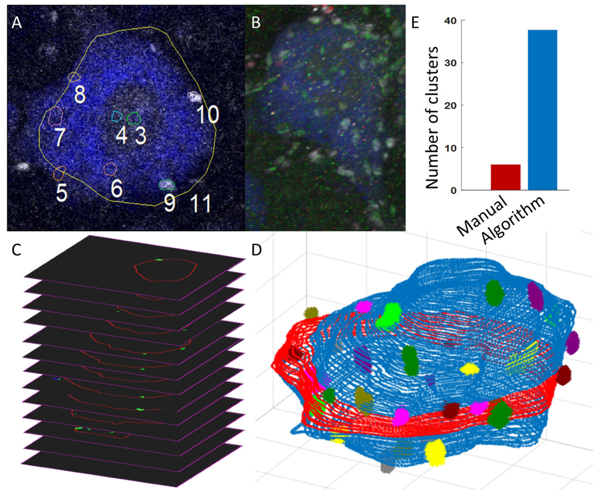 Bioengineering 12 00761 g002