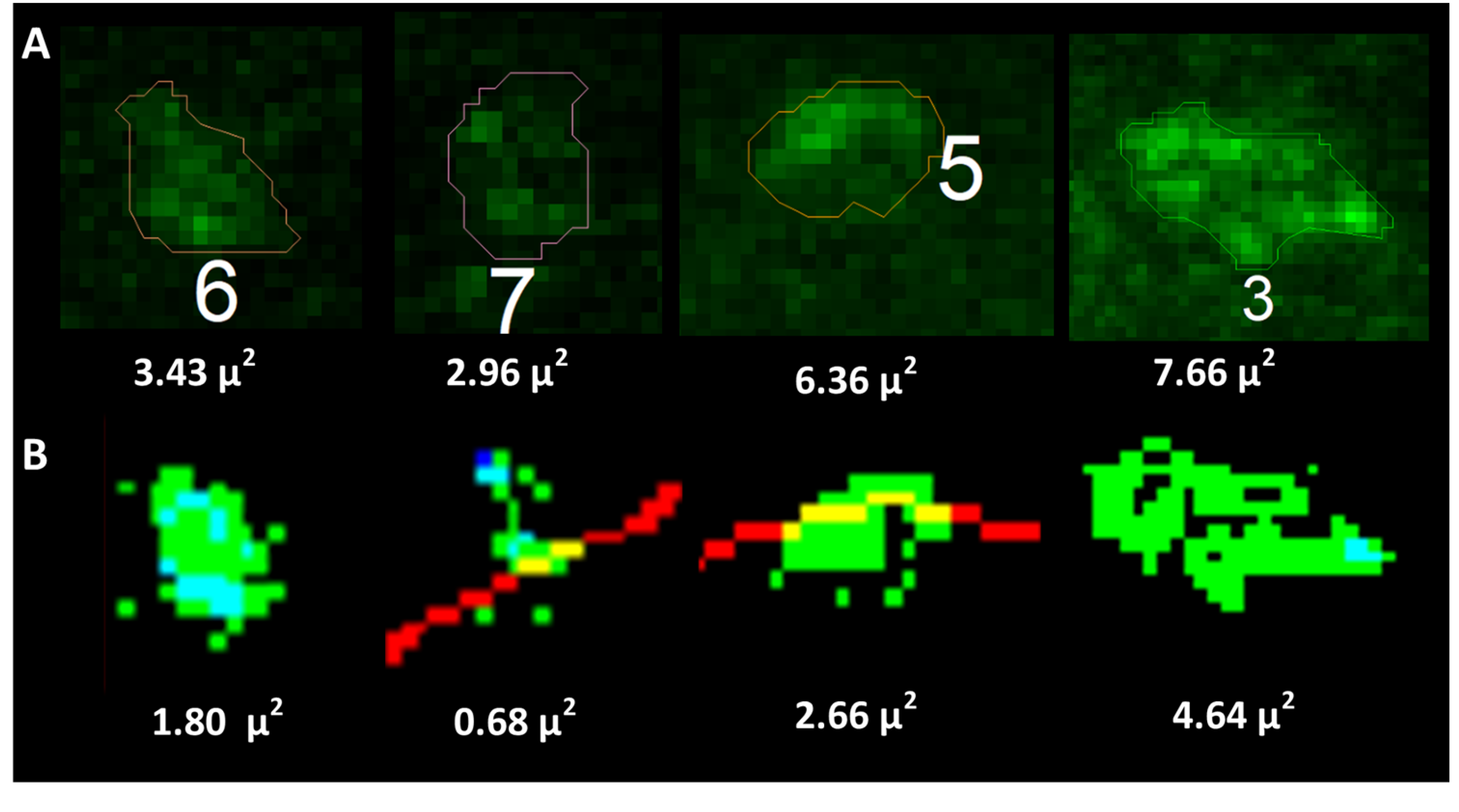 Bioengineering 12 00761 g005