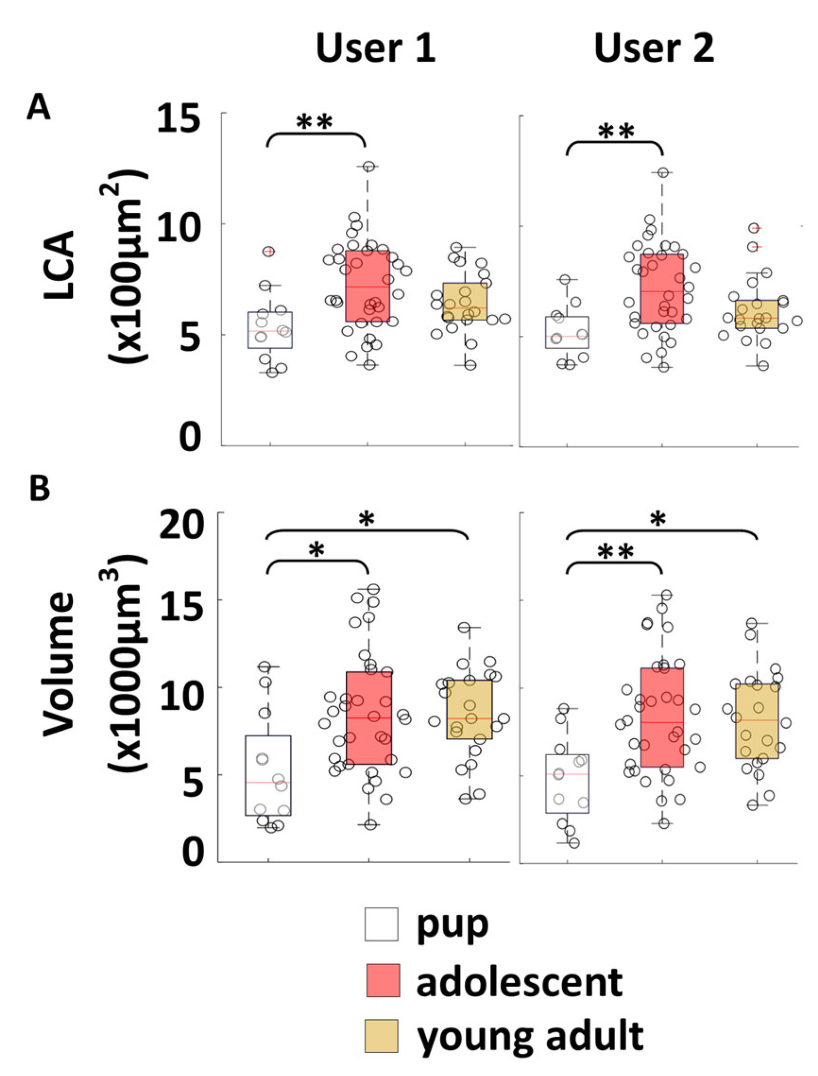 Bioengineering 12 00761 g006