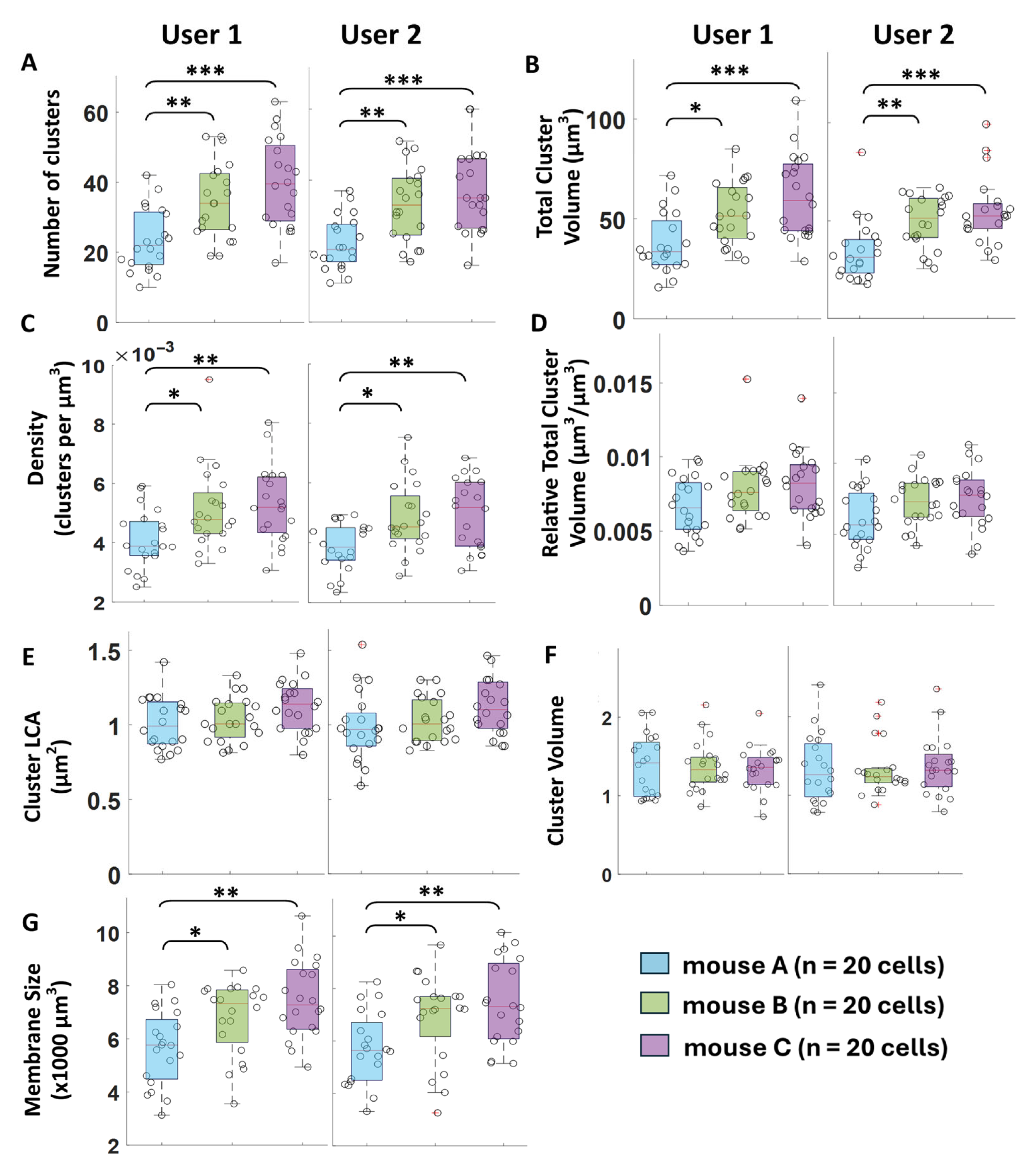Bioengineering 12 00761 g007