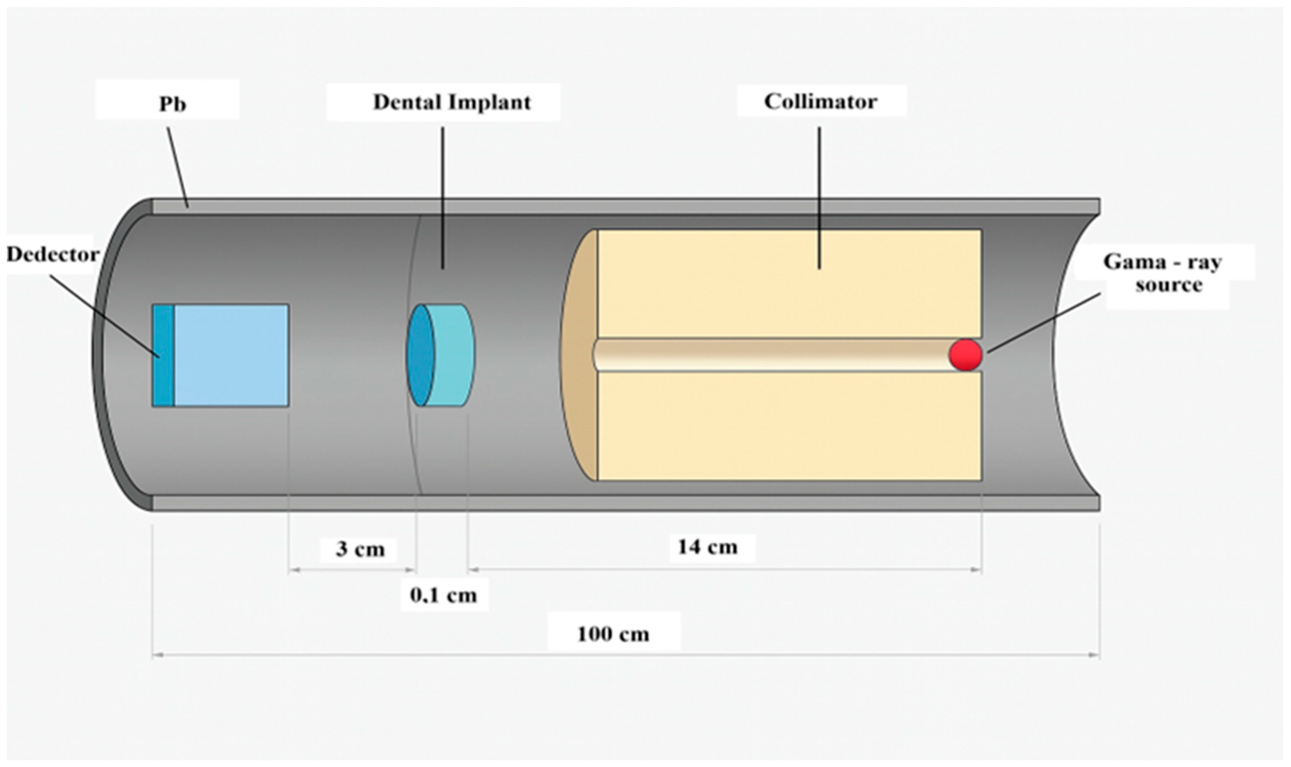 Bioengineering 12 00762 g002