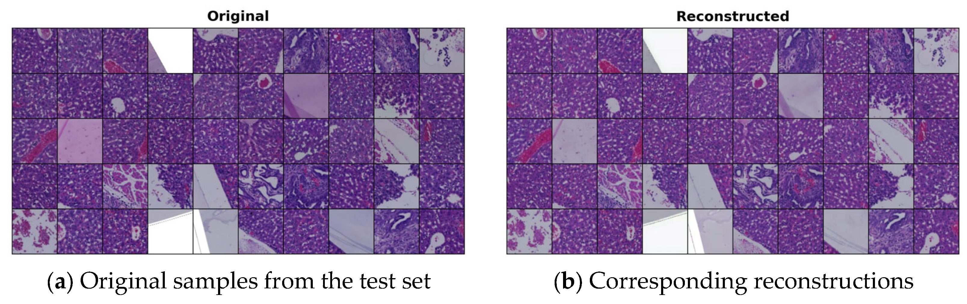 Bioengineering 12 00764 g001