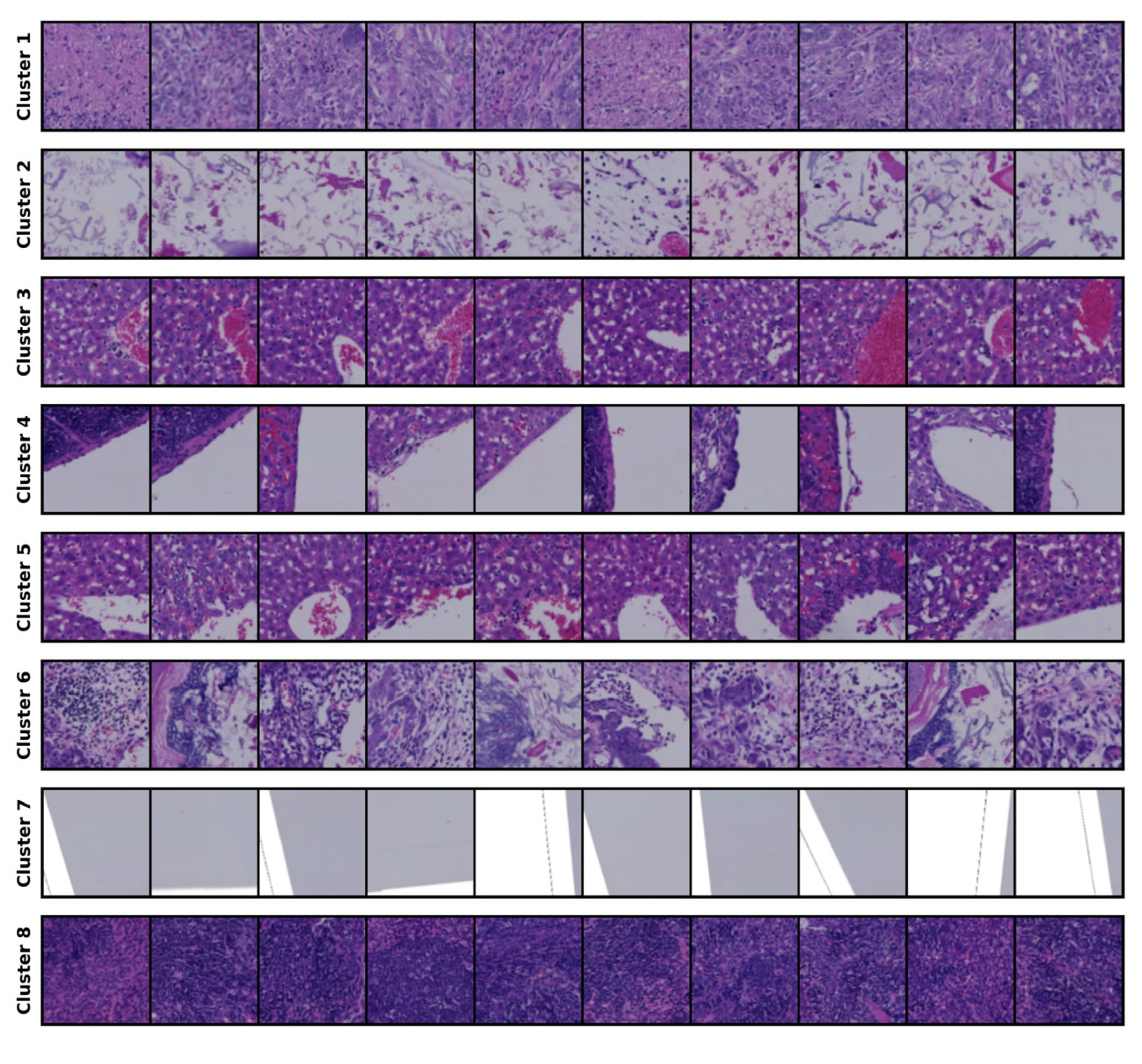 Bioengineering 12 00764 g002a