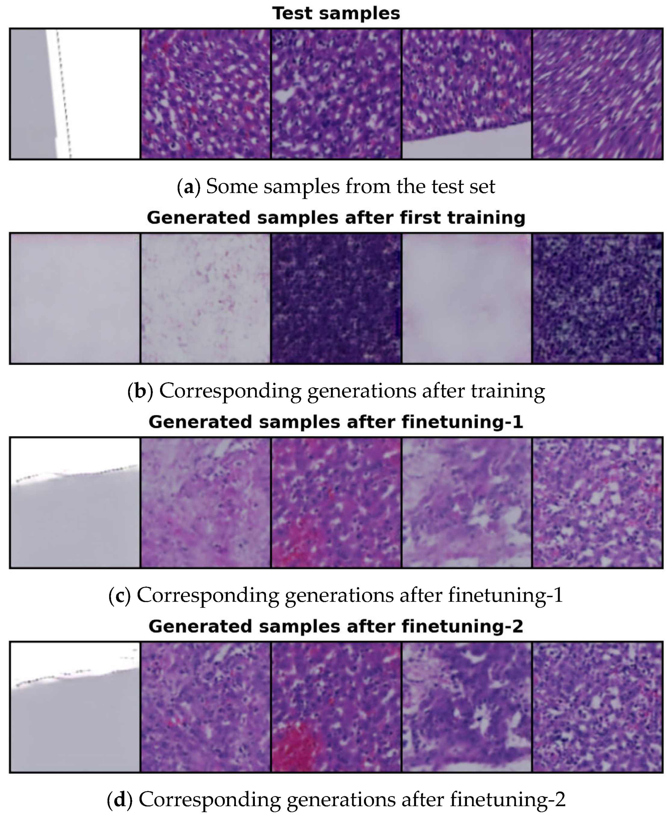 Bioengineering 12 00764 g004