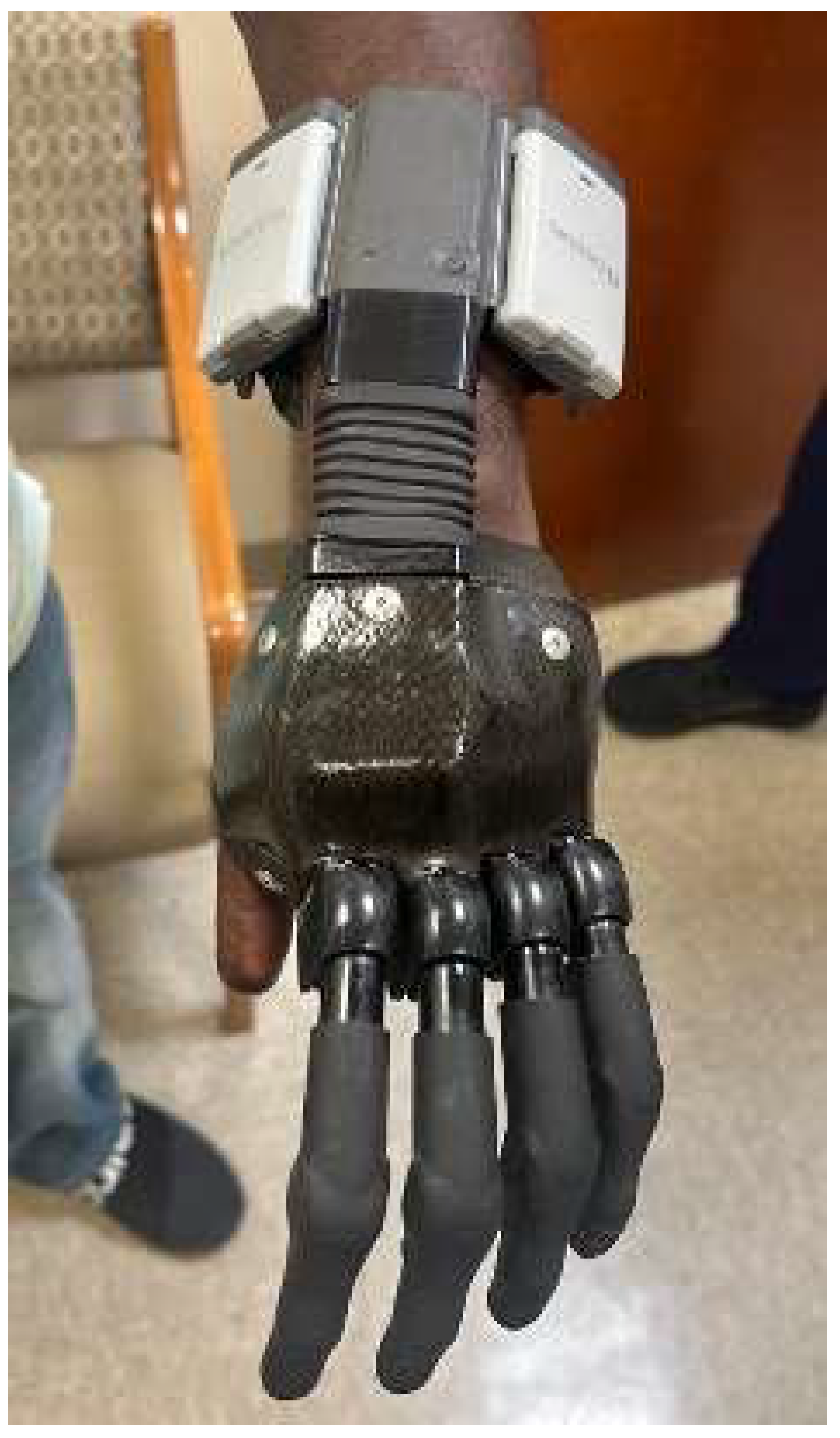 Bioengineering 12 00765 g003