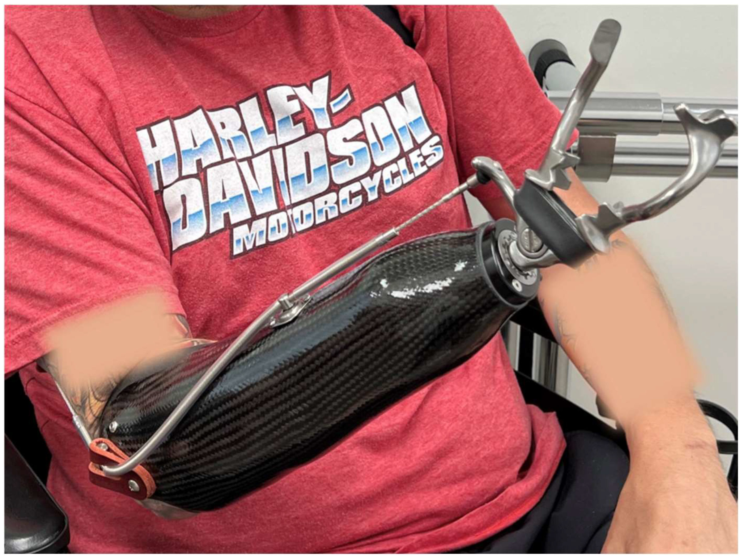 Bioengineering 12 00765 g004