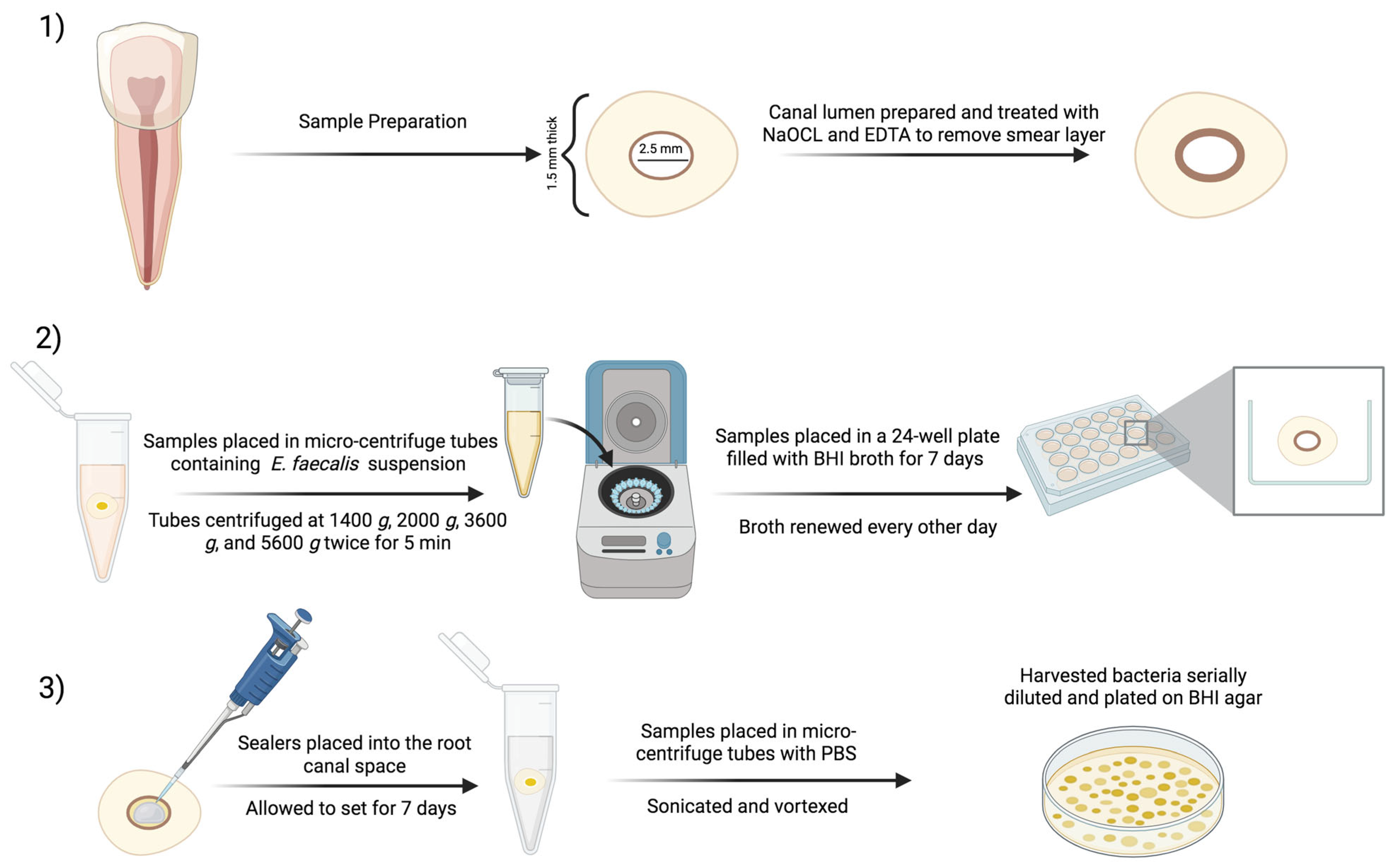 Bioengineering 12 00768 g002