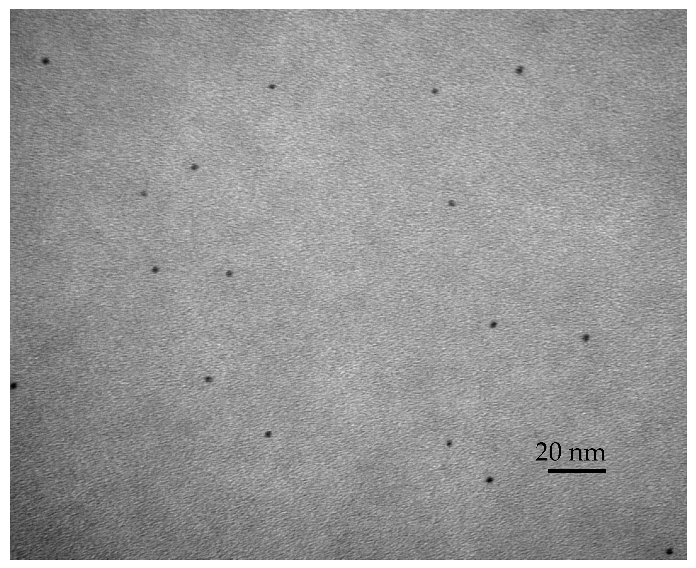 Bioengineering 12 00768 g003