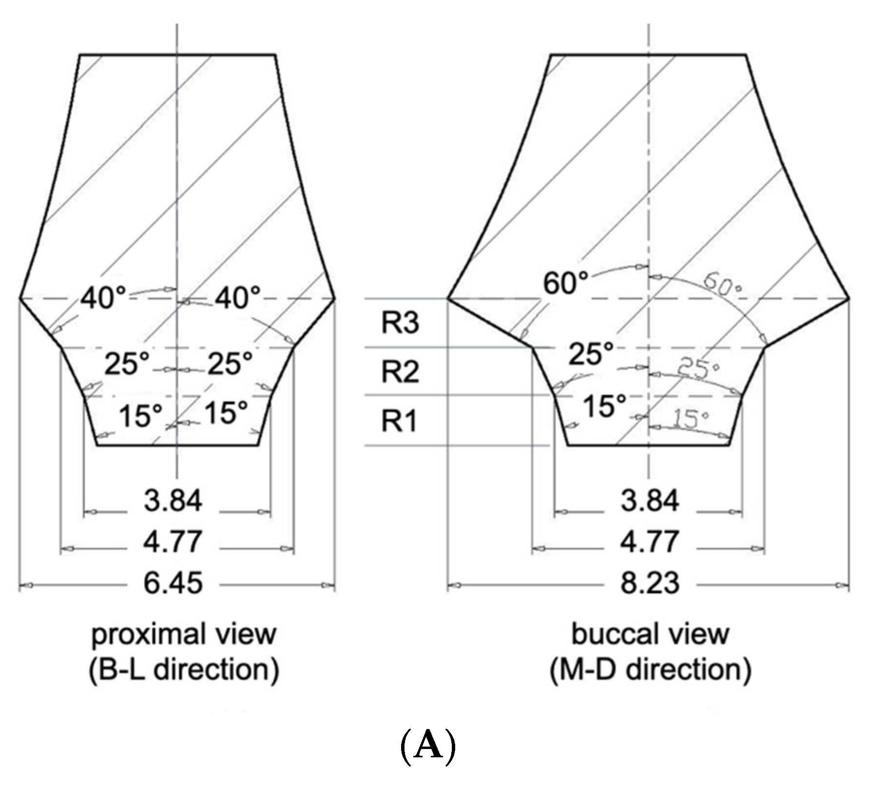 Bioengineering 12 00772 g001a