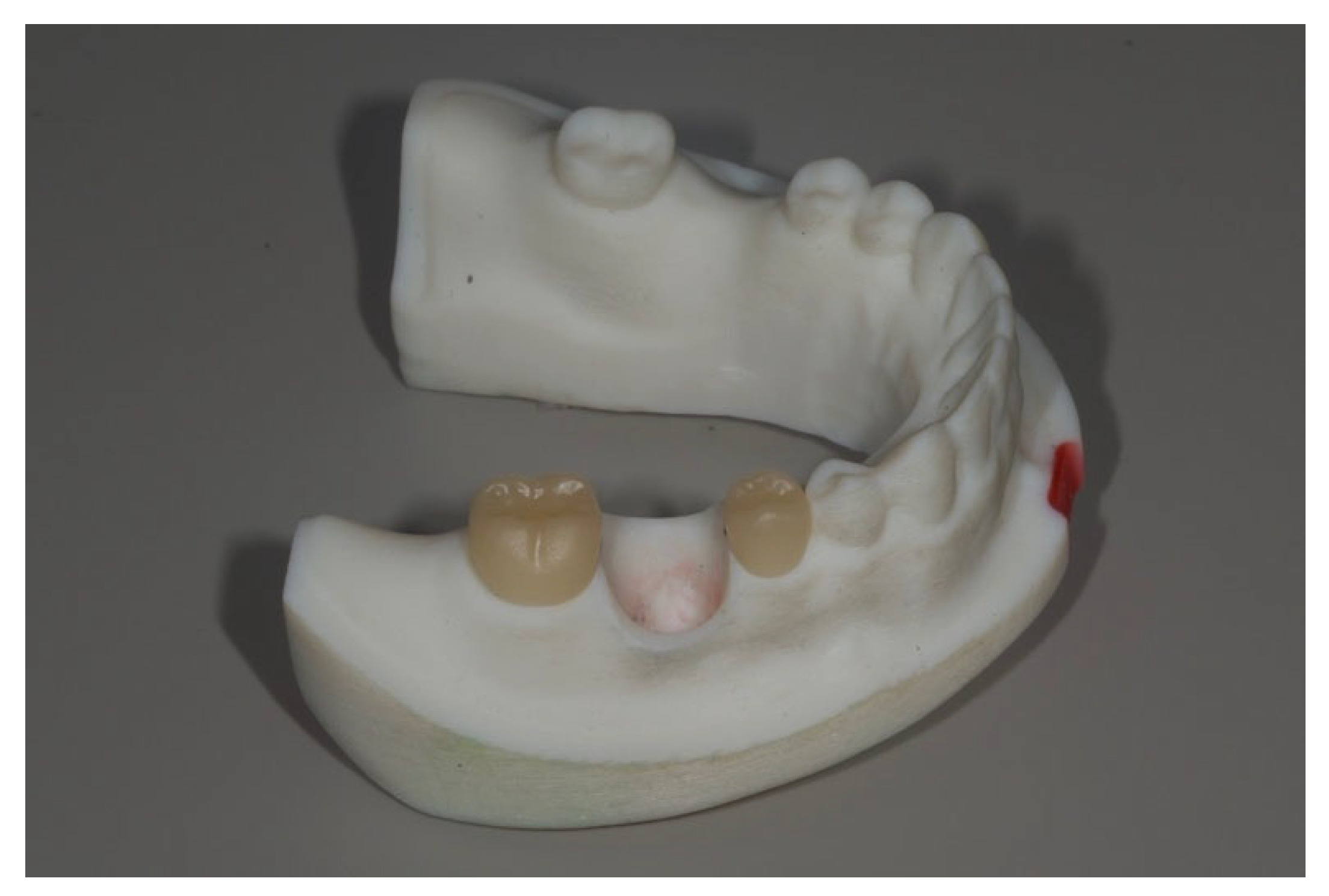 Bioengineering 12 00772 g002