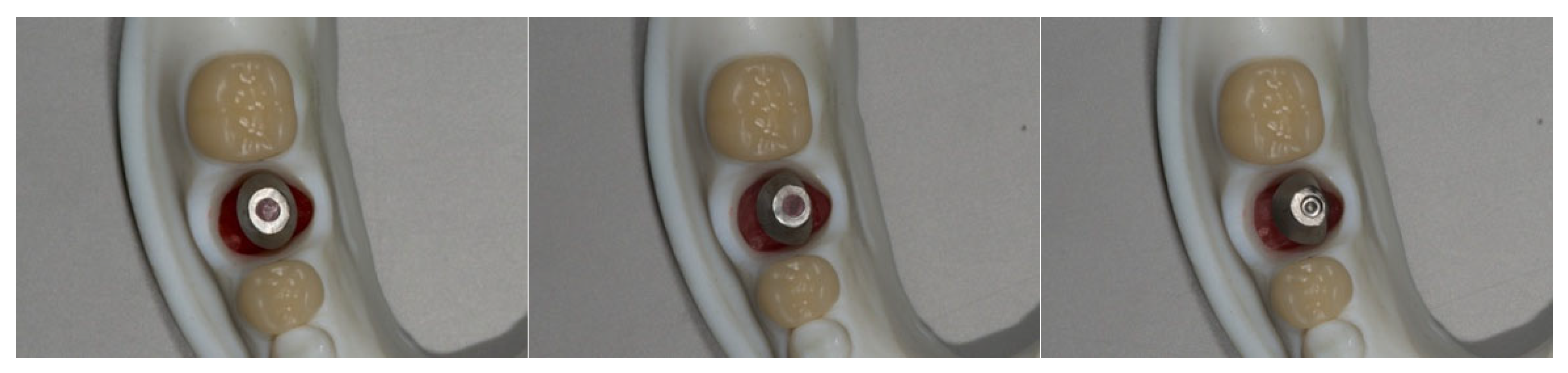 Bioengineering 12 00772 g003